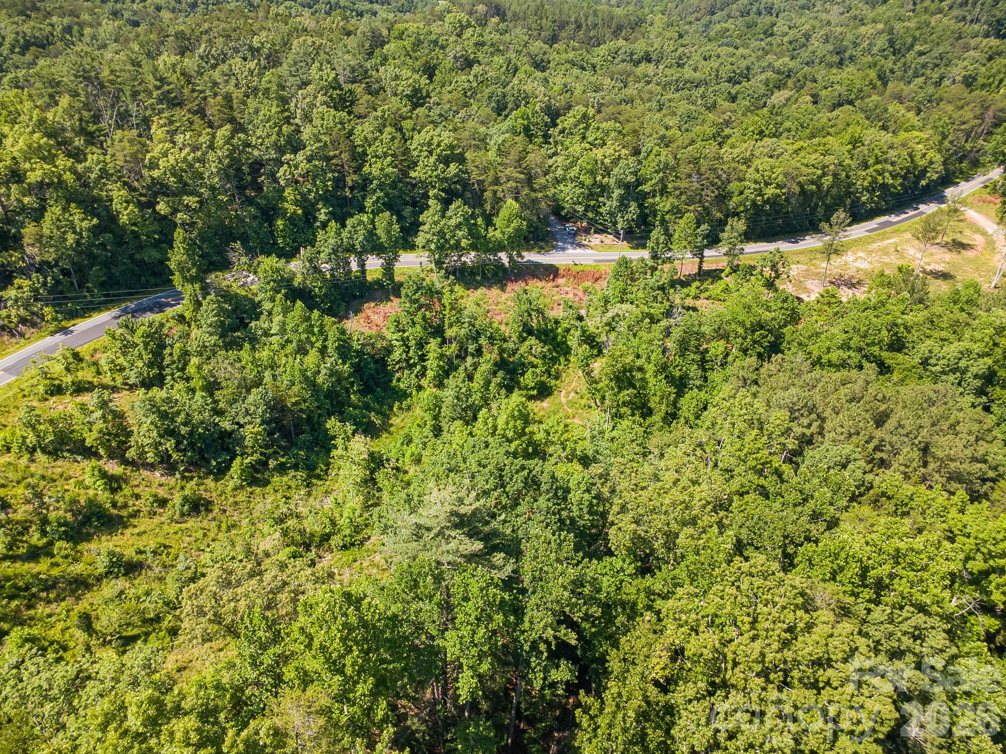 Lot #2 Clark Road Rutherfordton, NC 28139 - Photo 33 of 36