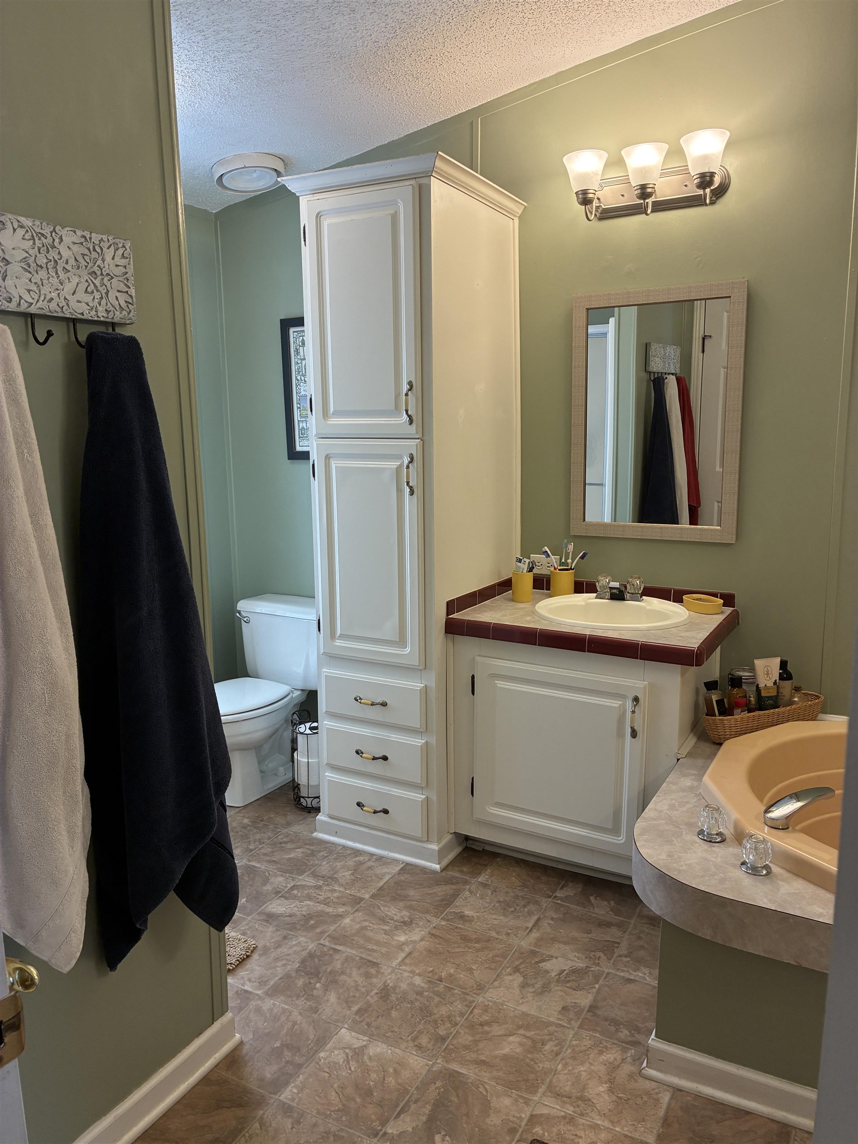 777 Happy Valley Road Fountain Inn, SC 29644 - Photo 22 of 45 Master Bath