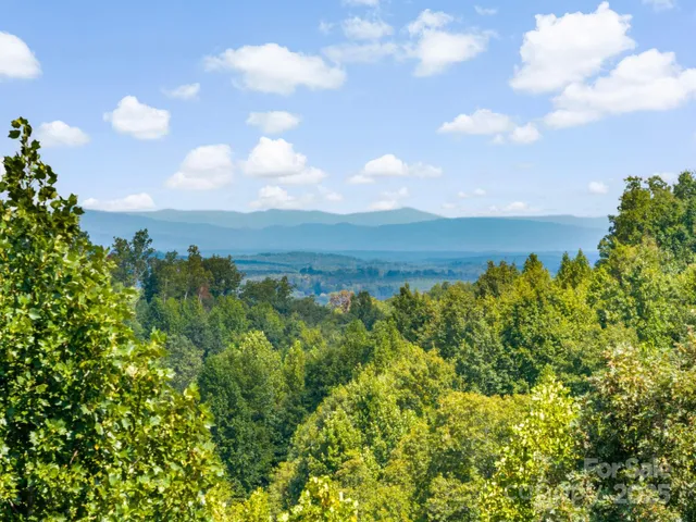 a view of a bunch of trees in it