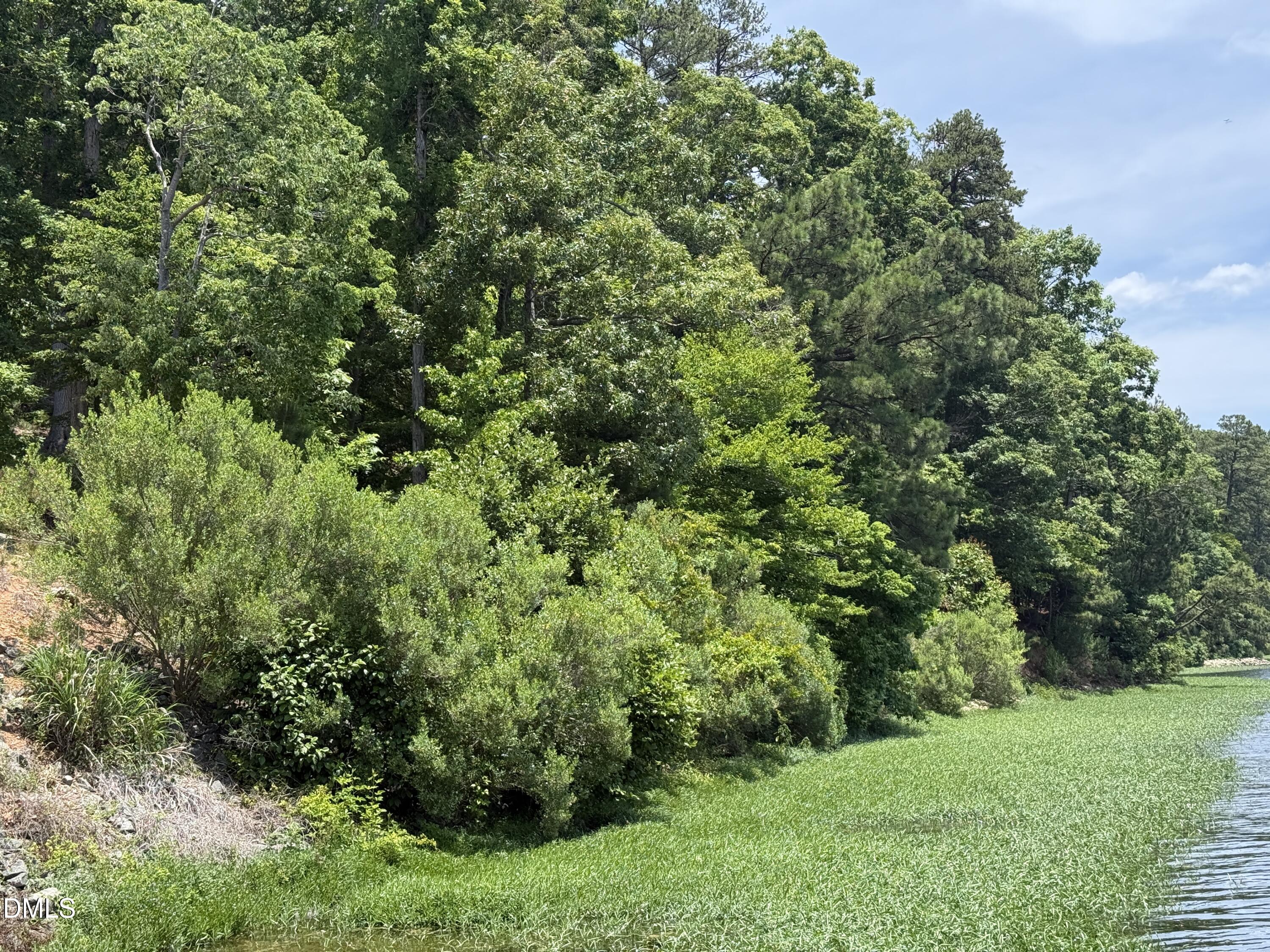0 Edwards Ridge Road Littleton, NC 27850 - Photo 21 of 24