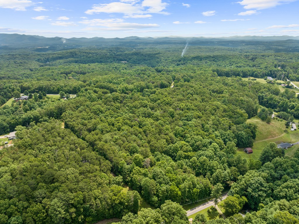 0 Crawford Road McCaysville, GA 30555 - Photo 16 of 21
