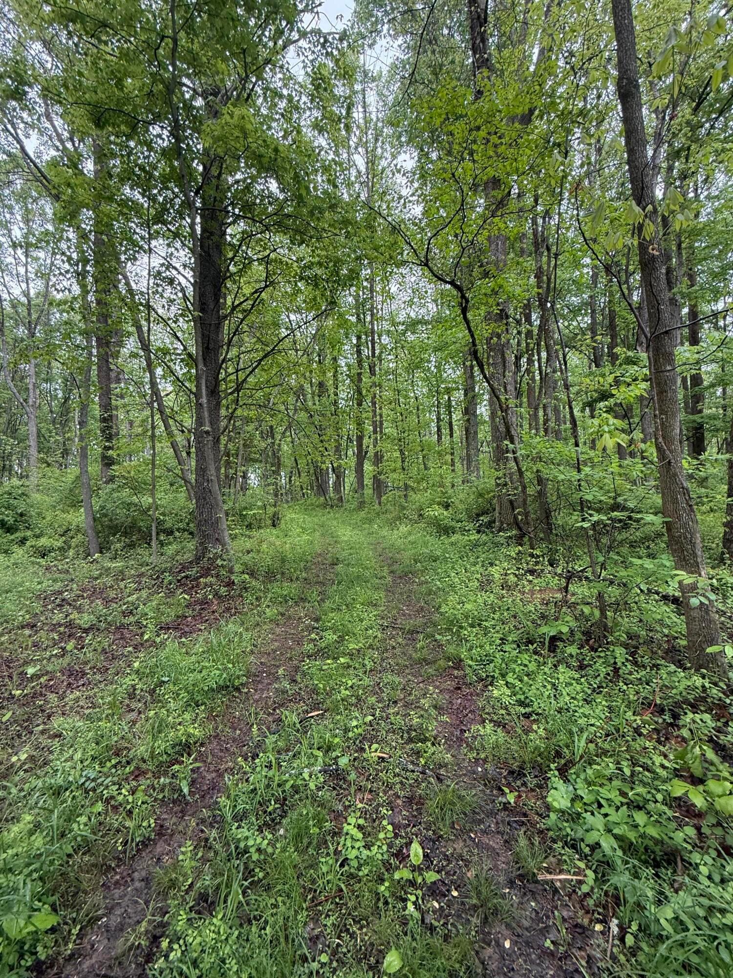 29500 Fairview Ridge Road Logan, OH 43138 - Photo 29 of 73 IMG_2254
