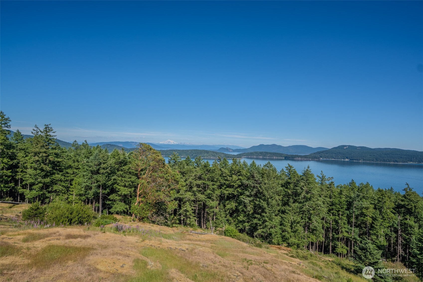 726 Pine Ridge Drive Orcas Island, WA 98280 - Photo 39 of 40