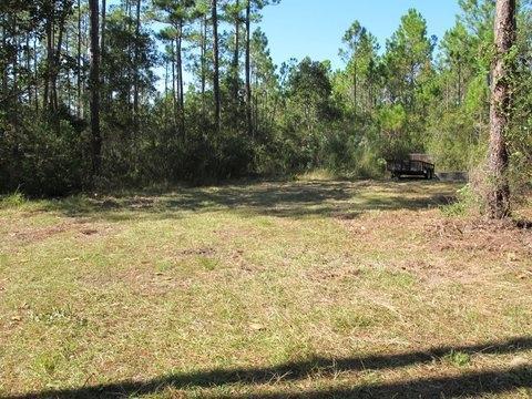 Lot 36 J D Miller Road Santa Rosa Beach, FL 32459 - Photo 3 of 10 Lot 36 J D MILLER 3