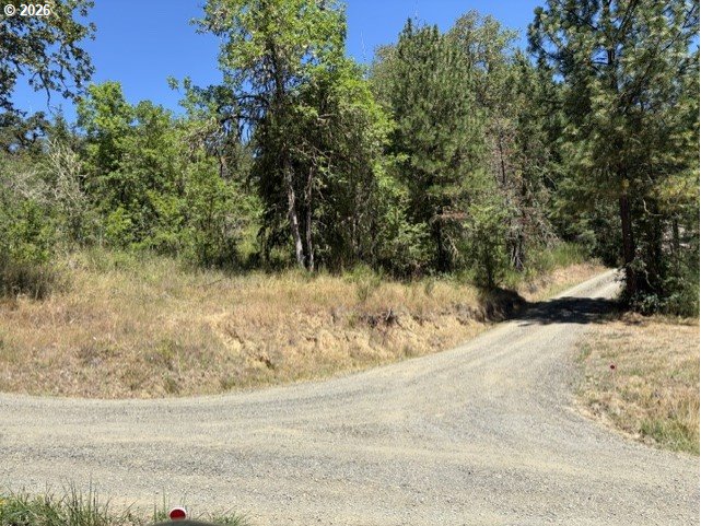 0 Mountain View Road Sutherlin, OR 97479 - Photo 3 of 9