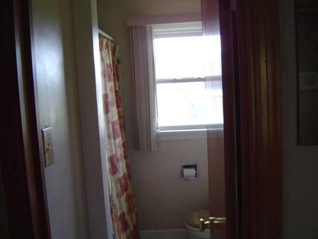 1656 Reece Road Salem, VA 24153 - Photo 11 of 14 Bathroom