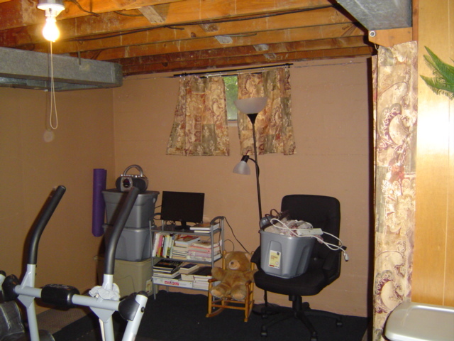 1656 Reece Road Salem, VA 24153 - Photo 12 of 14 Basement