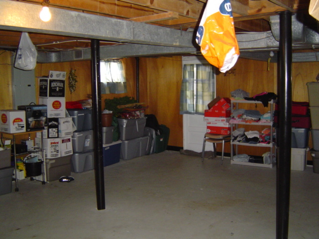 1656 Reece Road Salem, VA 24153 - Photo 13 of 14 Basement
