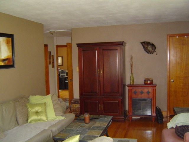 1656 Reece Road Salem, VA 24153 - Photo 6 of 14 Living Room