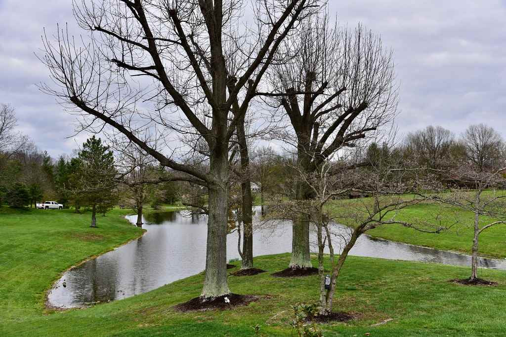 5320 Limaburg Road Burlington, KY 41005 - Photo 14 of 30 Gallery Image 14