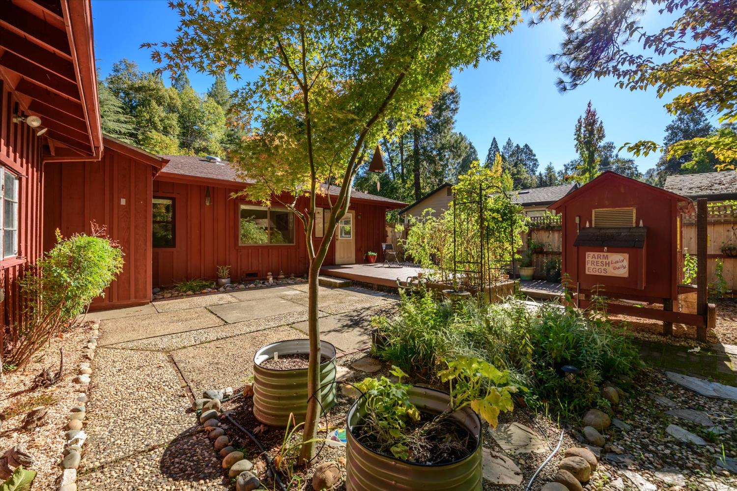 3166 Cedar Ravine Road Placerville, CA 95667 - Photo 19 of 29 a backyard of a house with lots of green space