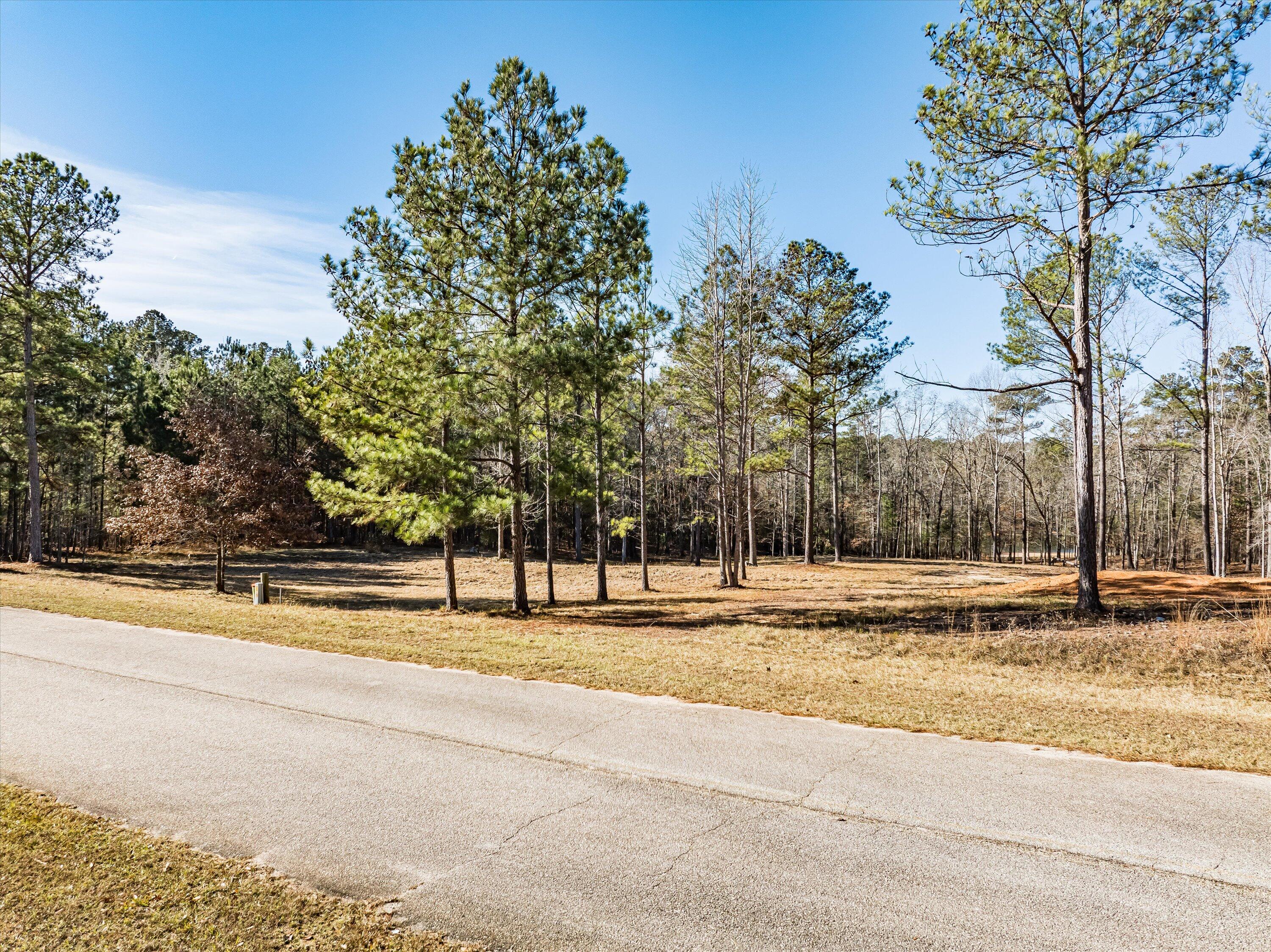 6 Savannah Bay Drive Lincolnton, GA 30817 - Photo 1 of 29 01-savannahbay_lot6_-1
