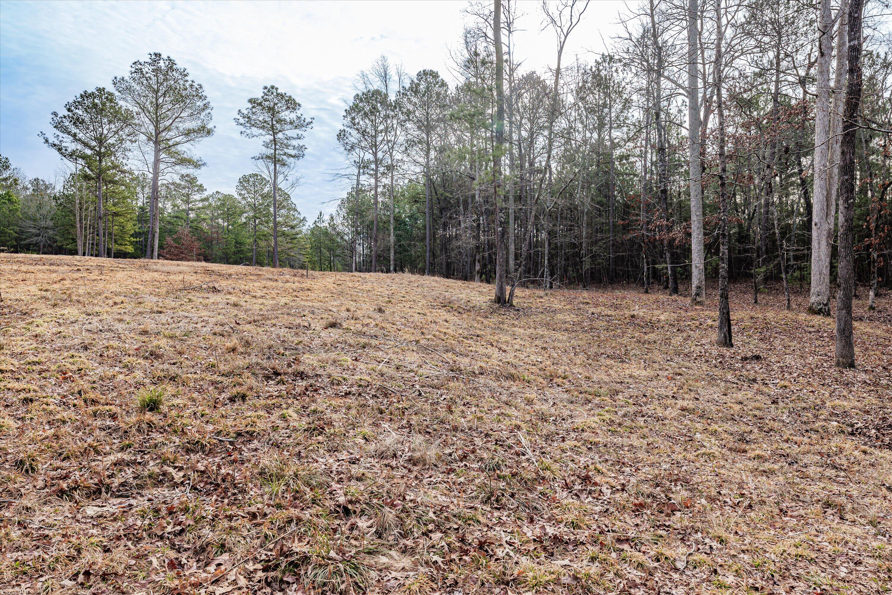 6 Savannah Bay Drive Lincolnton, GA 30817 - Photo 11 of 29 39-PS521070
