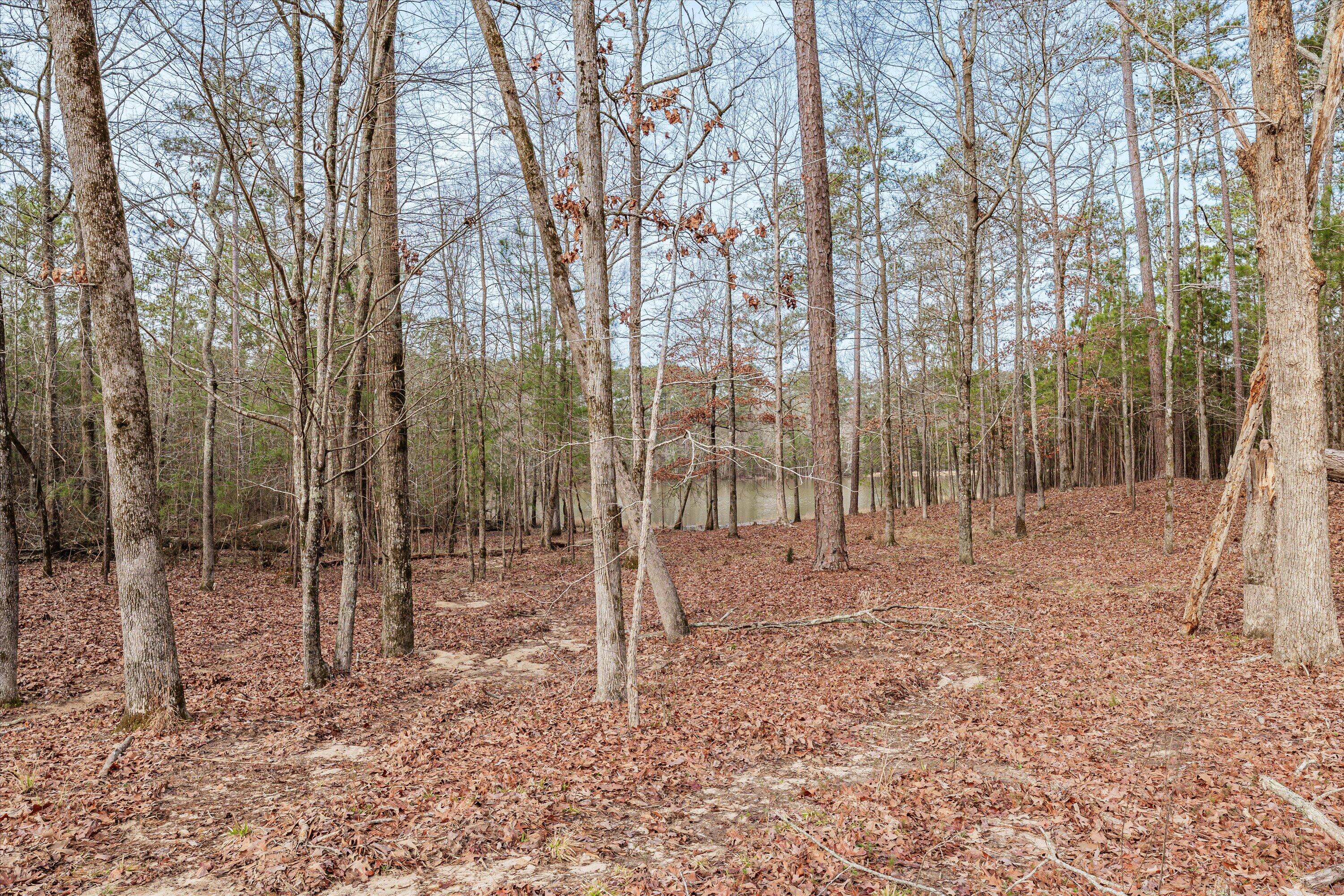 6 Savannah Bay Drive Lincolnton, GA 30817 - Photo 12 of 29 40-PS521071