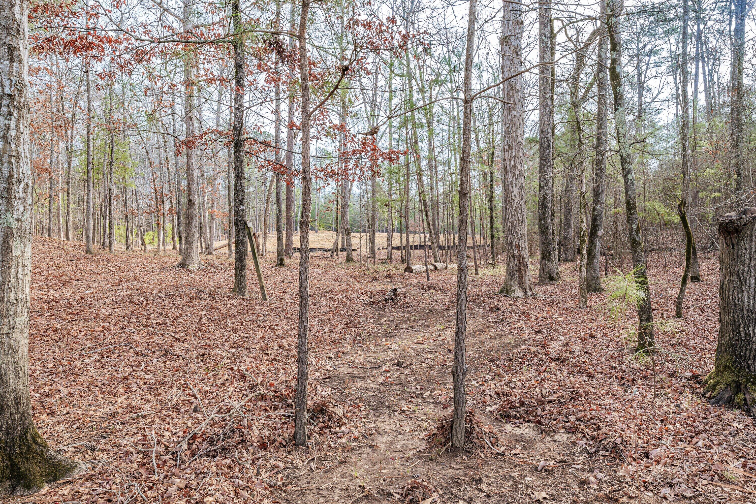 6 Savannah Bay Drive Lincolnton, GA 30817 - Photo 15 of 29 43-PS521074
