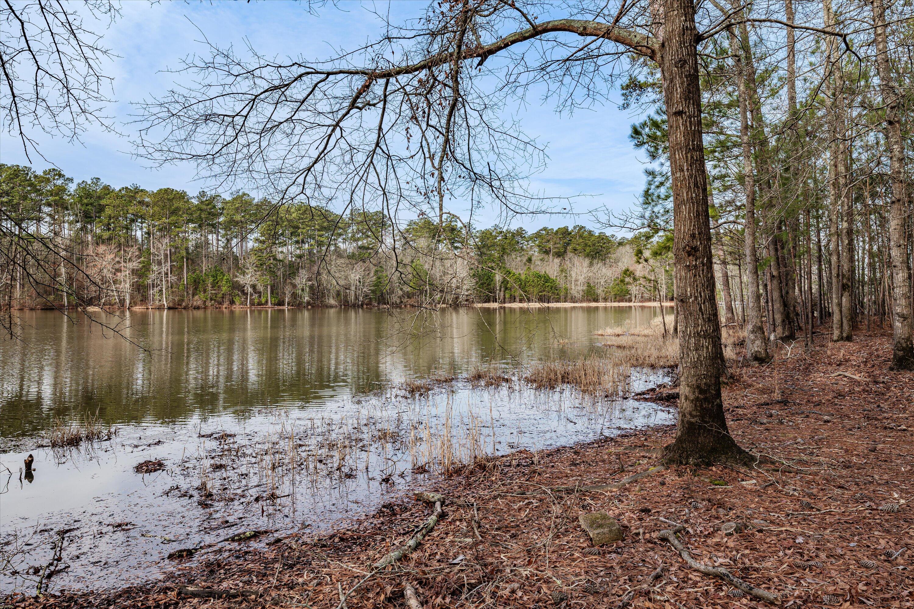 6 Savannah Bay Drive Lincolnton, GA 30817 - Photo 16 of 29 44-PS521075