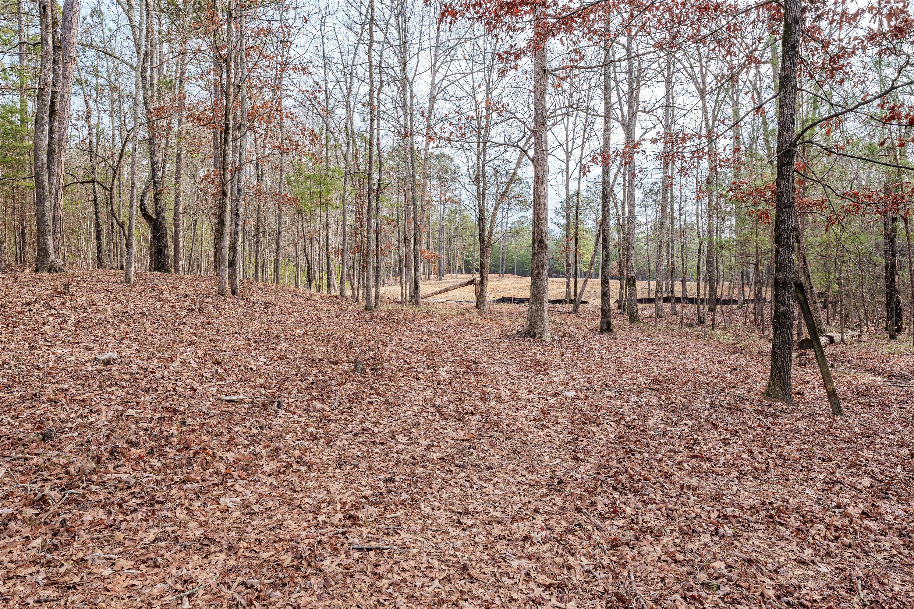 6 Savannah Bay Drive Lincolnton, GA 30817 - Photo 17 of 29 45-PS521076