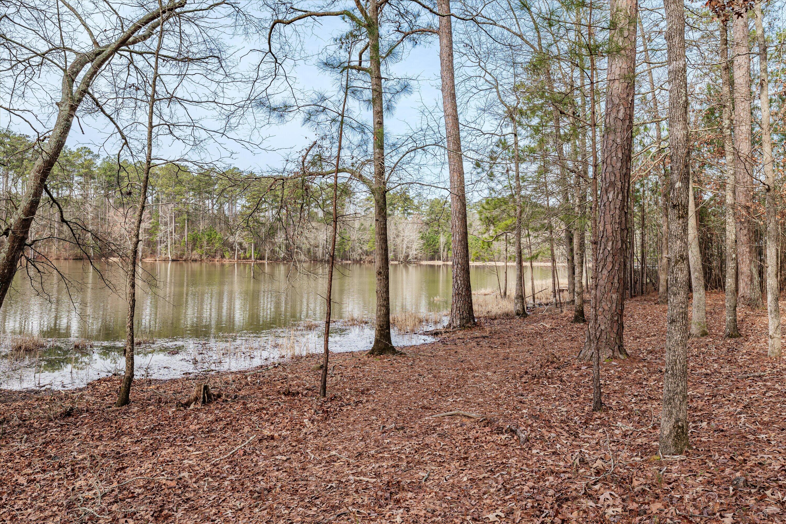 6 Savannah Bay Drive Lincolnton, GA 30817 - Photo 18 of 29 46-PS521077