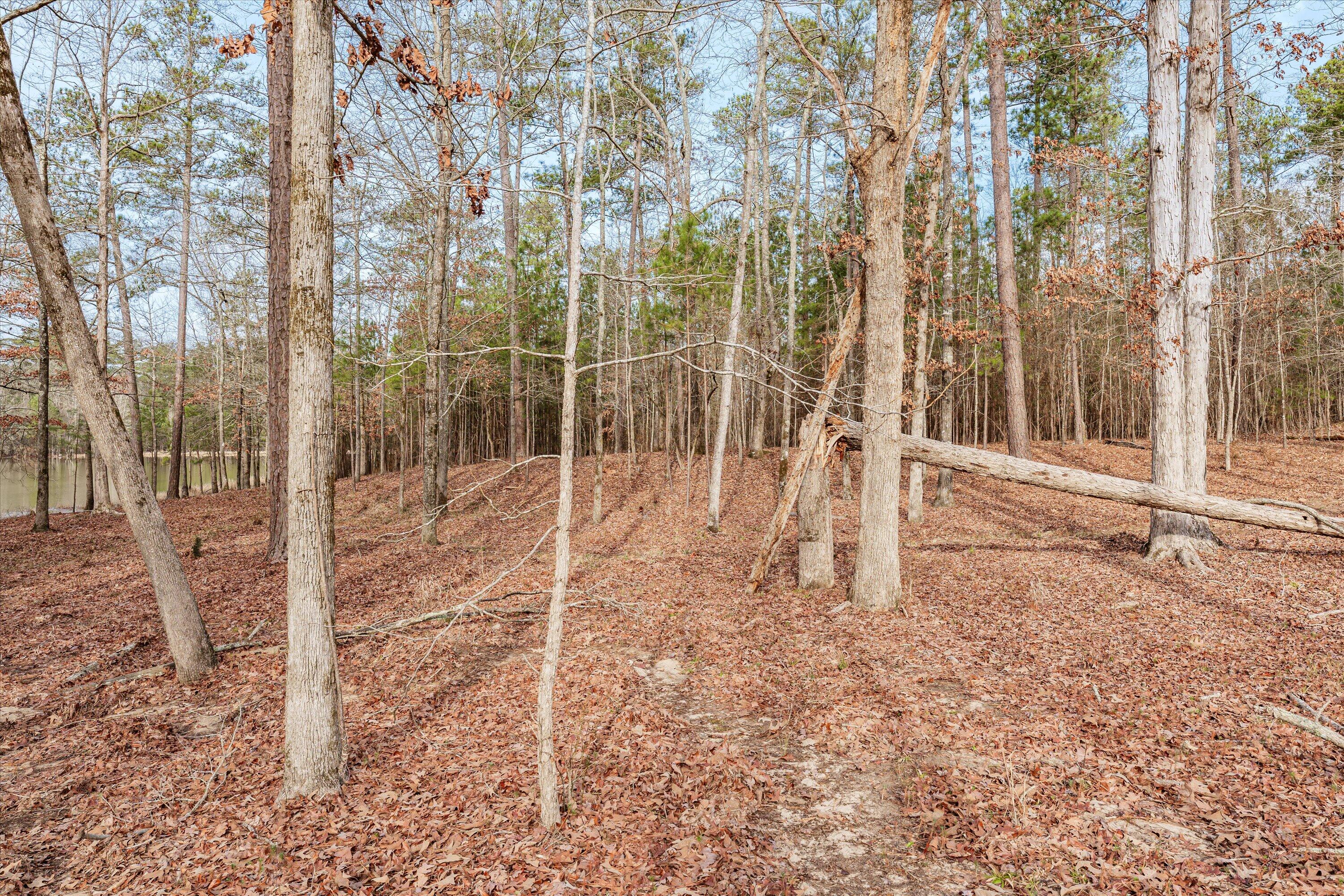 6 Savannah Bay Drive Lincolnton, GA 30817 - Photo 19 of 29 47-PS521078