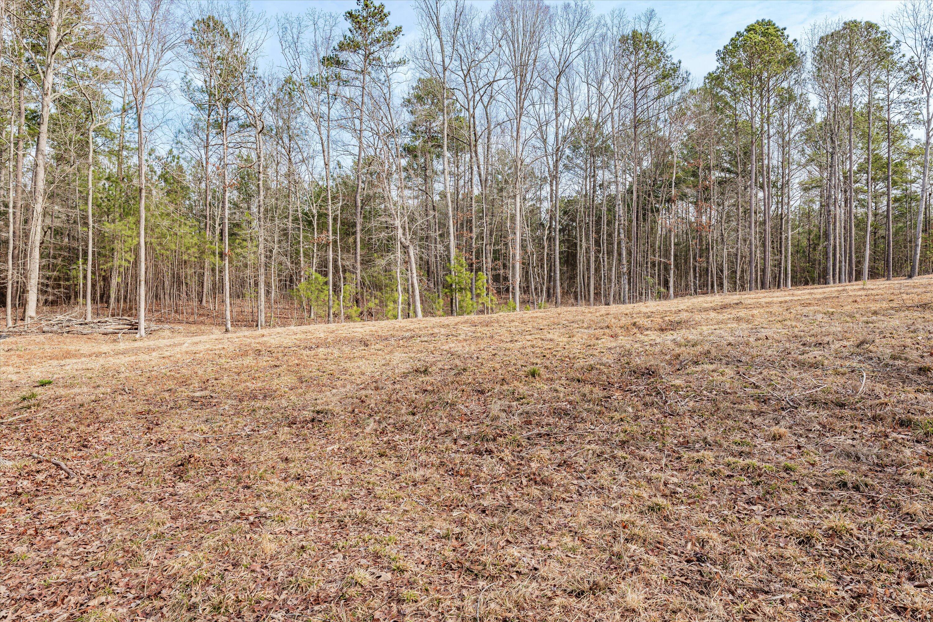 6 Savannah Bay Drive Lincolnton, GA 30817 - Photo 20 of 29 48-PS521079