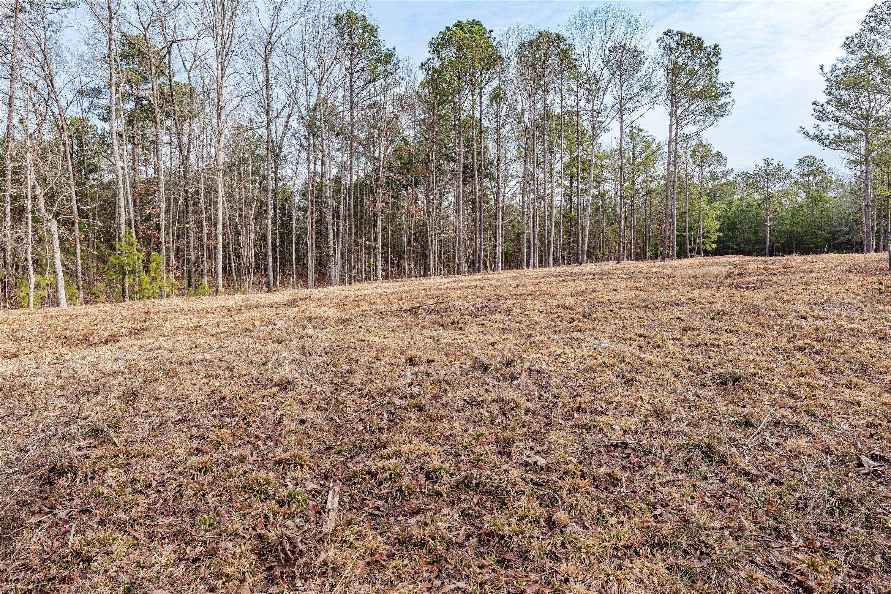 6 Savannah Bay Drive Lincolnton, GA 30817 - Photo 21 of 29 49-PS521080