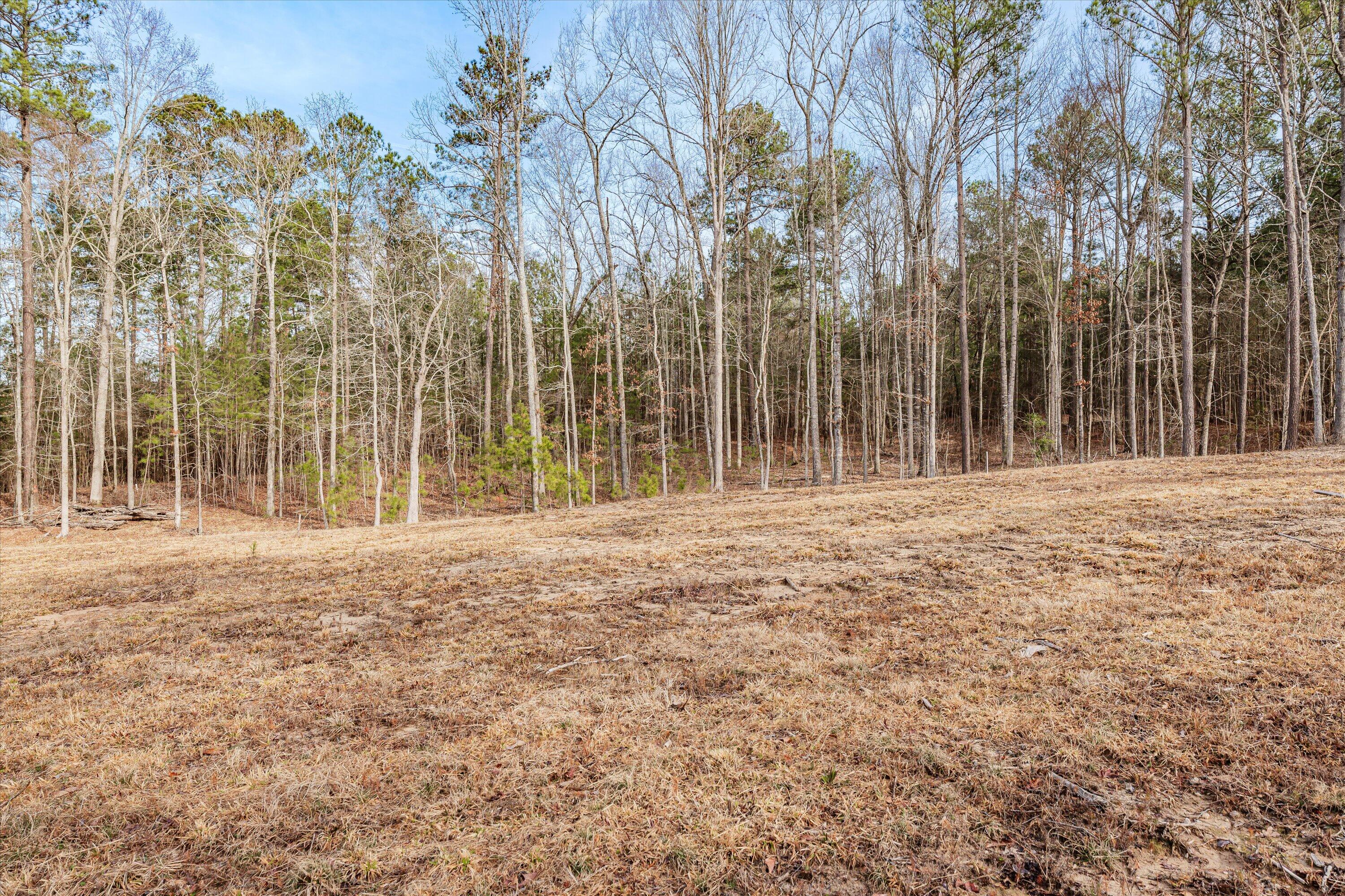 6 Savannah Bay Drive Lincolnton, GA 30817 - Photo 22 of 29 50-PS521081