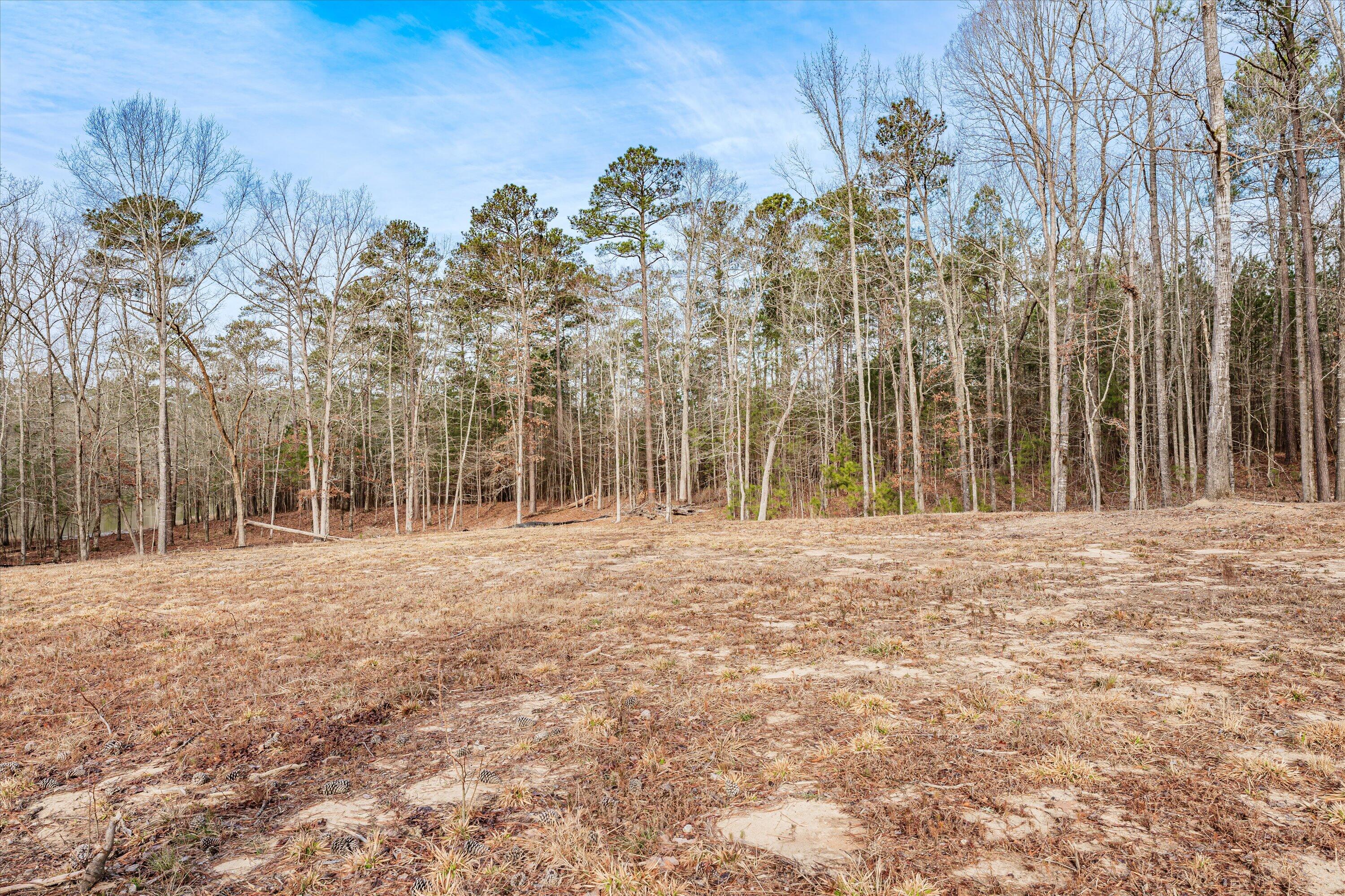 6 Savannah Bay Drive Lincolnton, GA 30817 - Photo 23 of 29 51-PS521082