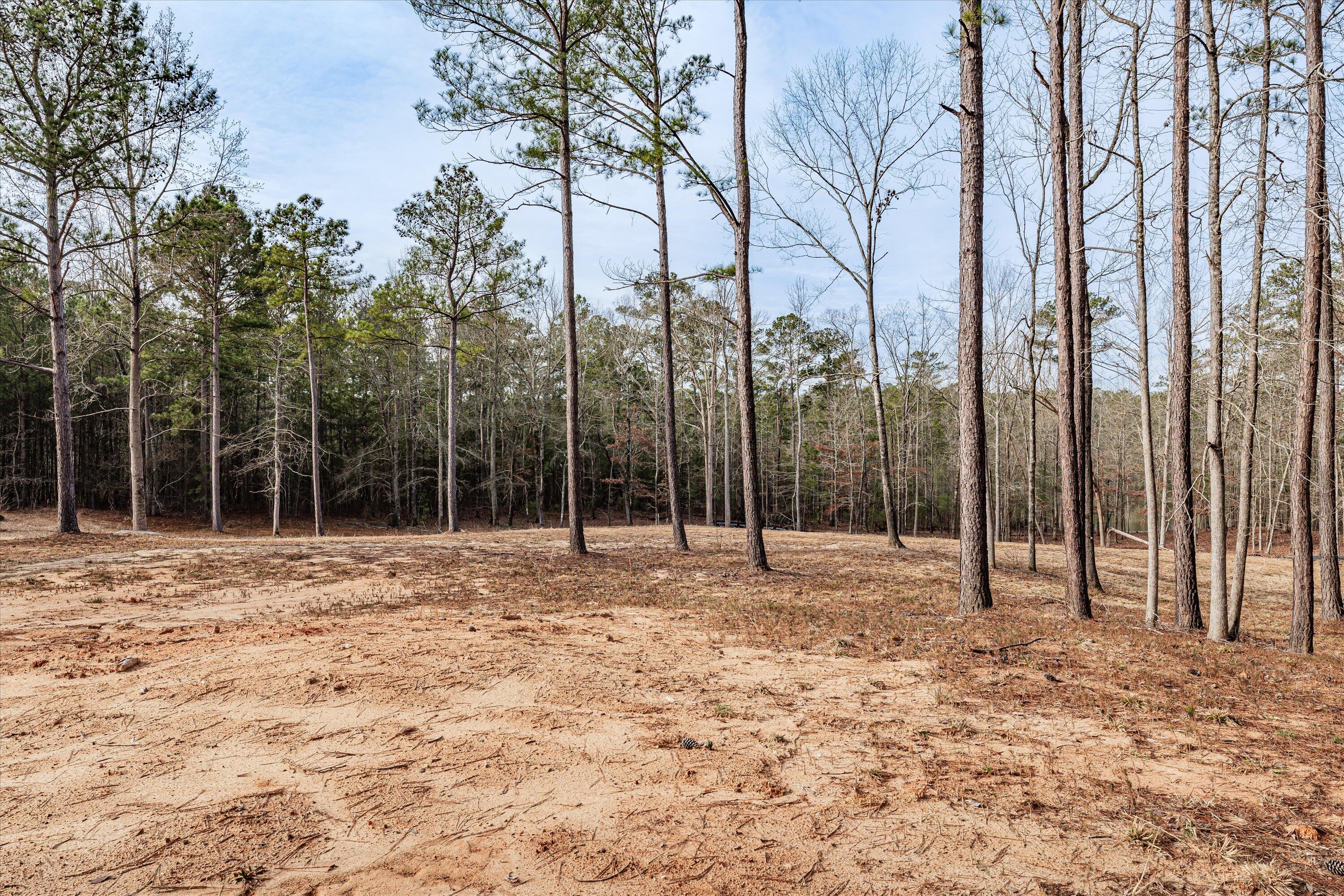 6 Savannah Bay Drive Lincolnton, GA 30817 - Photo 25 of 29 53-PS521084