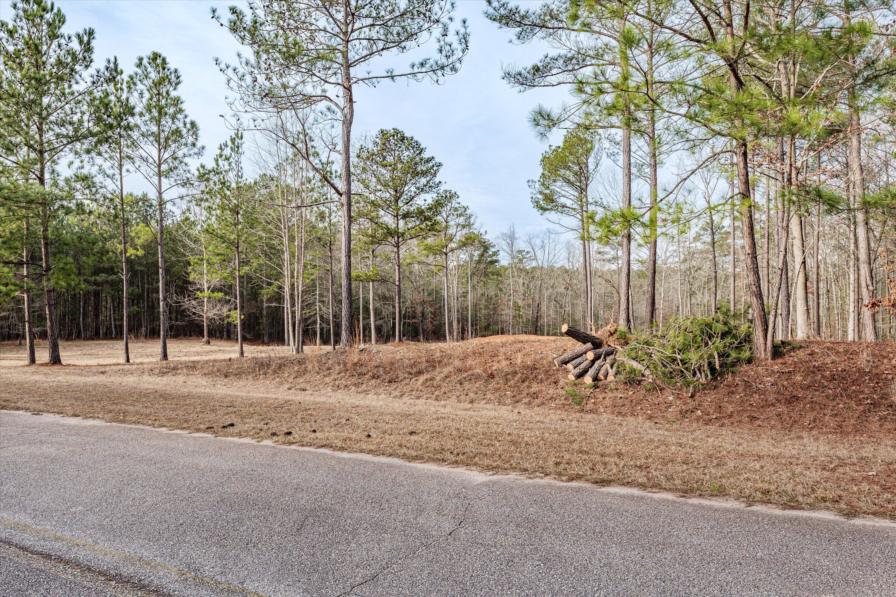 6 Savannah Bay Drive Lincolnton, GA 30817 - Photo 26 of 29 54-PS521085