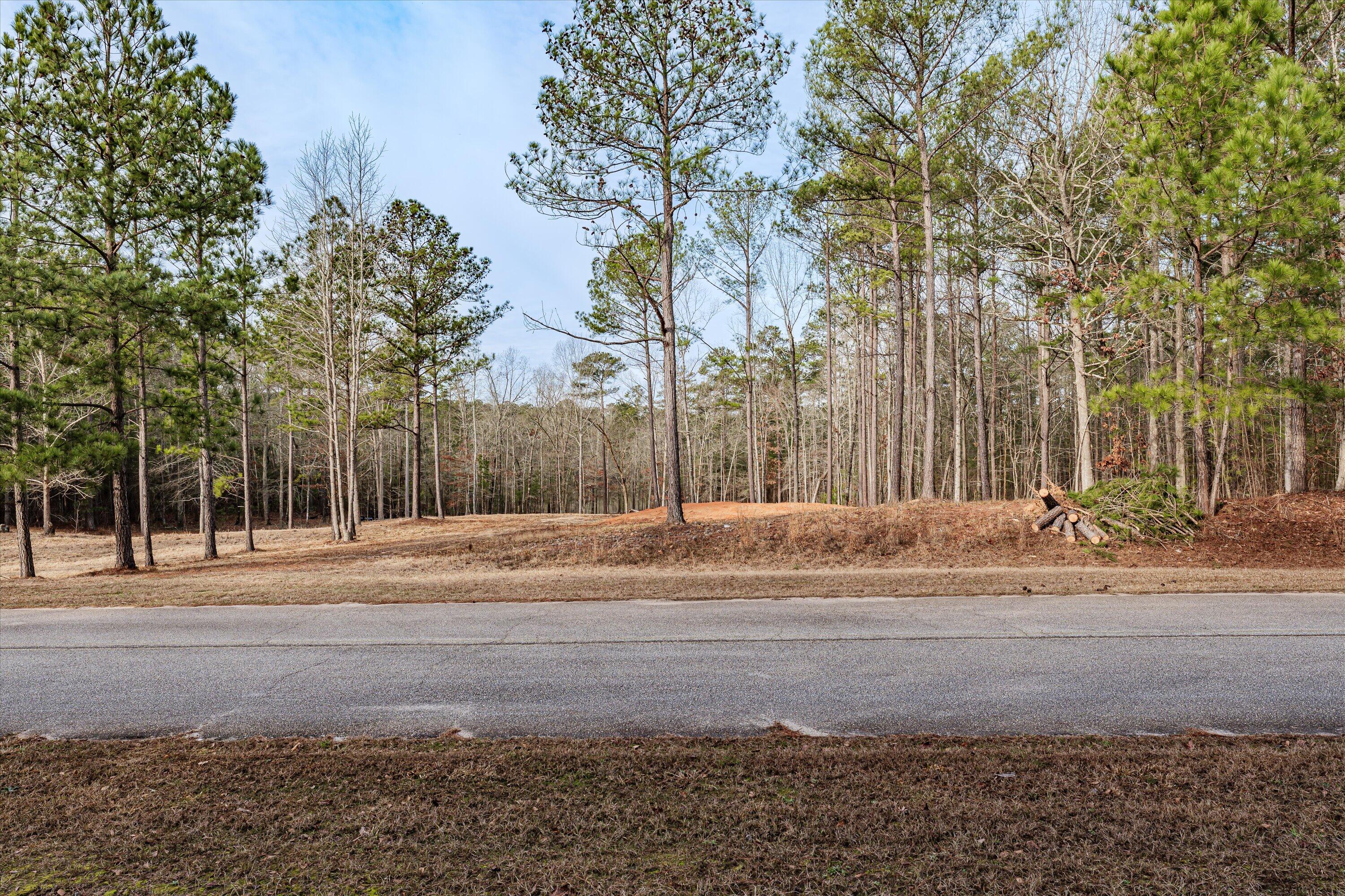 6 Savannah Bay Drive Lincolnton, GA 30817 - Photo 27 of 29 55-PS521086