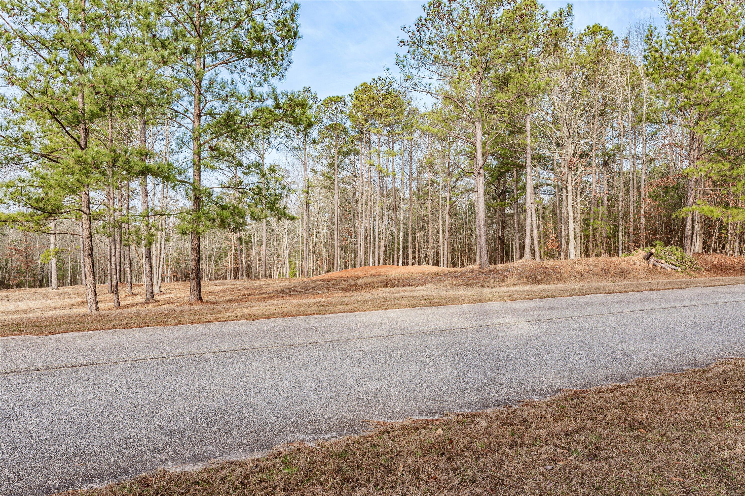6 Savannah Bay Drive Lincolnton, GA 30817 - Photo 28 of 29 56-PS521087