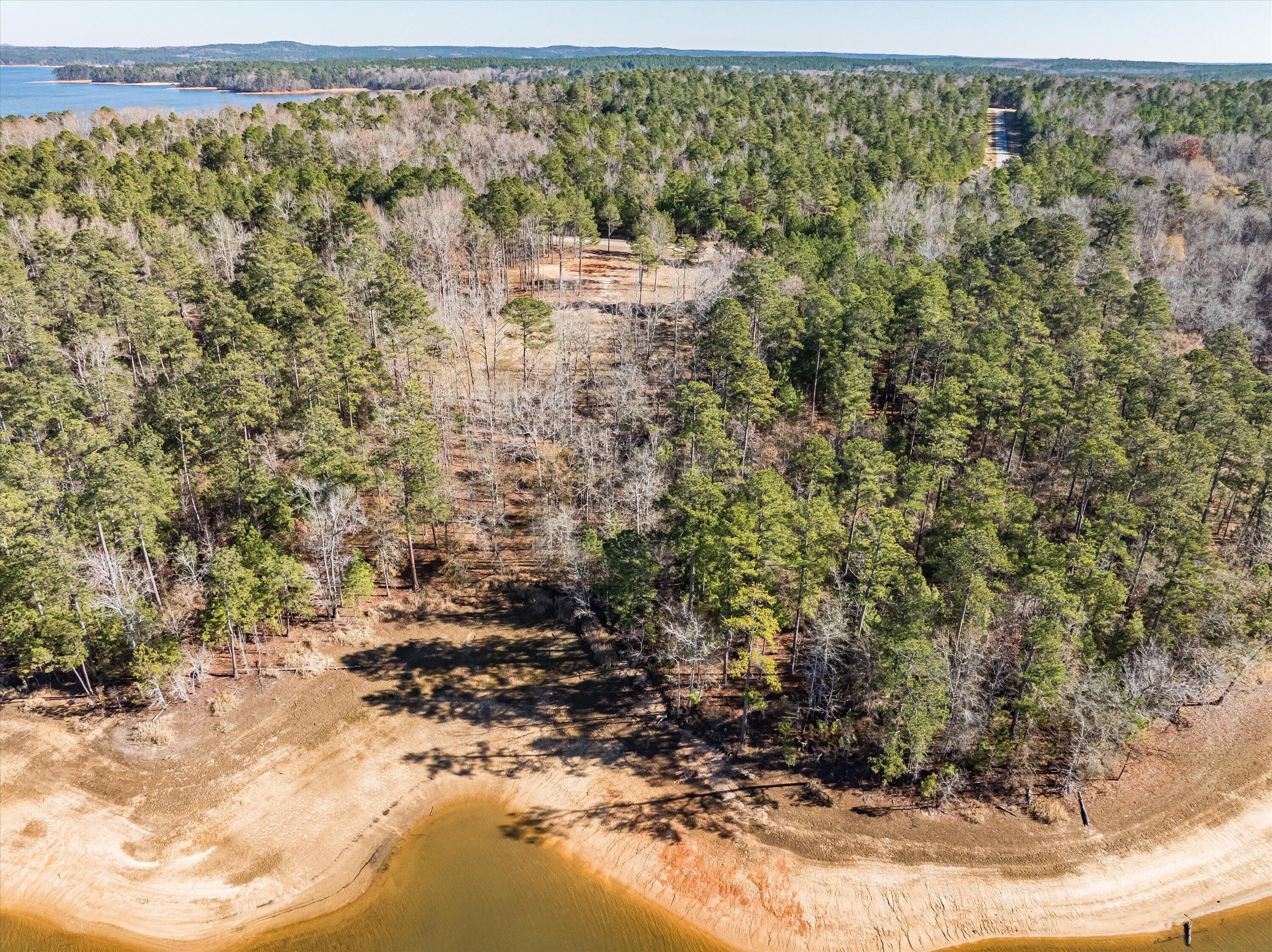 6 Savannah Bay Drive Lincolnton, GA 30817 - Photo 3 of 29 17-savannahbay_lot6_-17