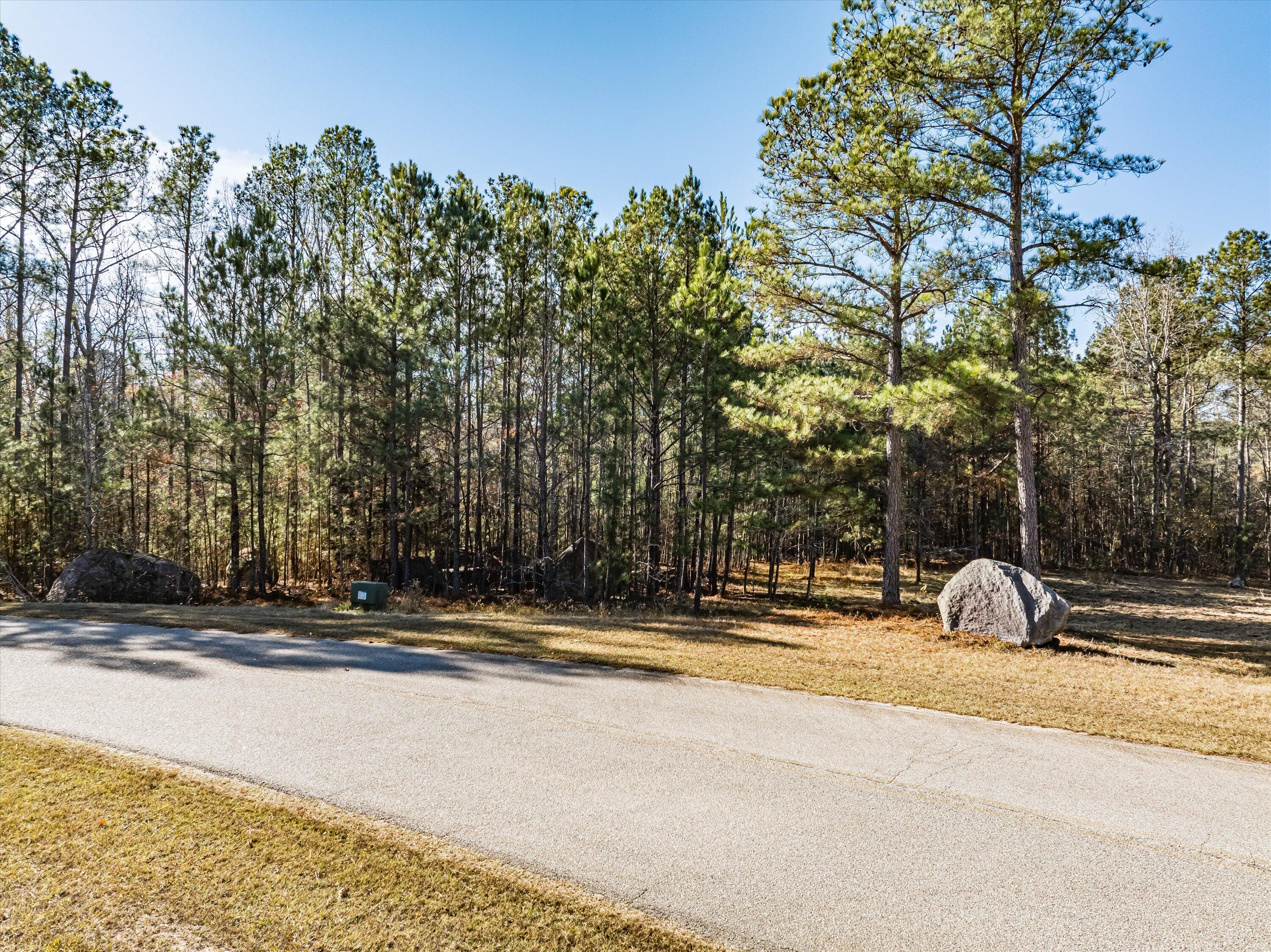 6 Savannah Bay Drive Lincolnton, GA 30817 - Photo 4 of 29 19-savannahbay_lot7_-1
