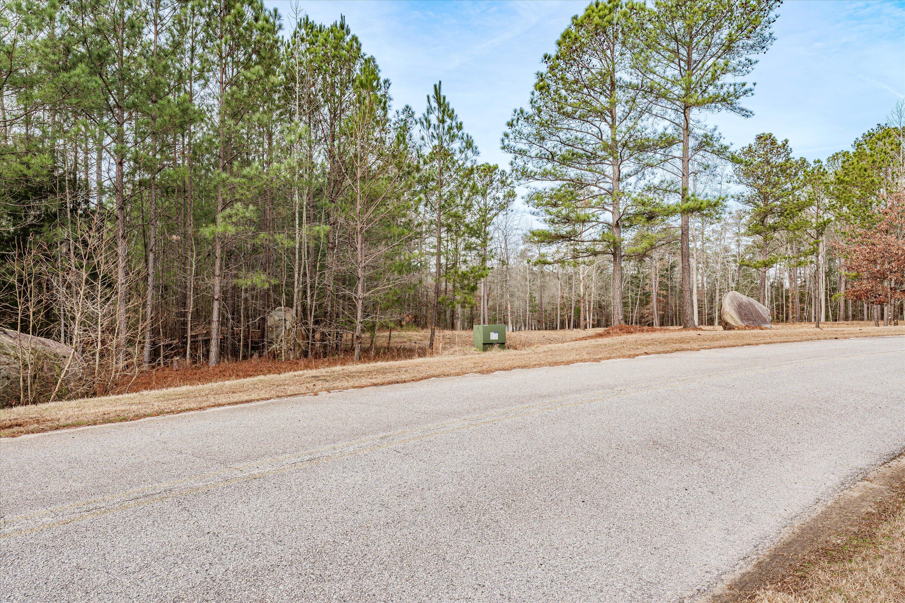 6 Savannah Bay Drive Lincolnton, GA 30817 - Photo 5 of 29 33-PS521064