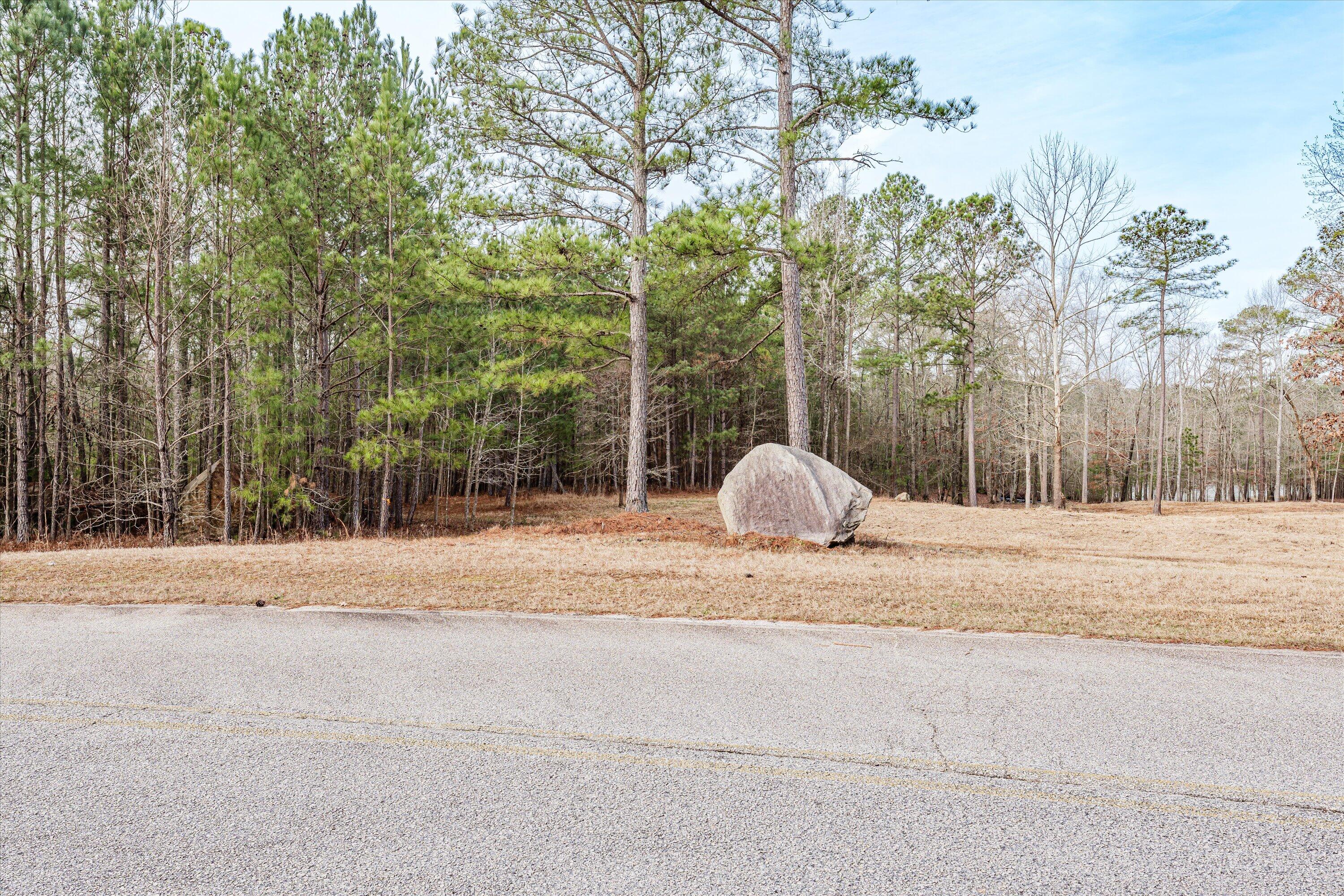 6 Savannah Bay Drive Lincolnton, GA 30817 - Photo 6 of 29 34-PS521065