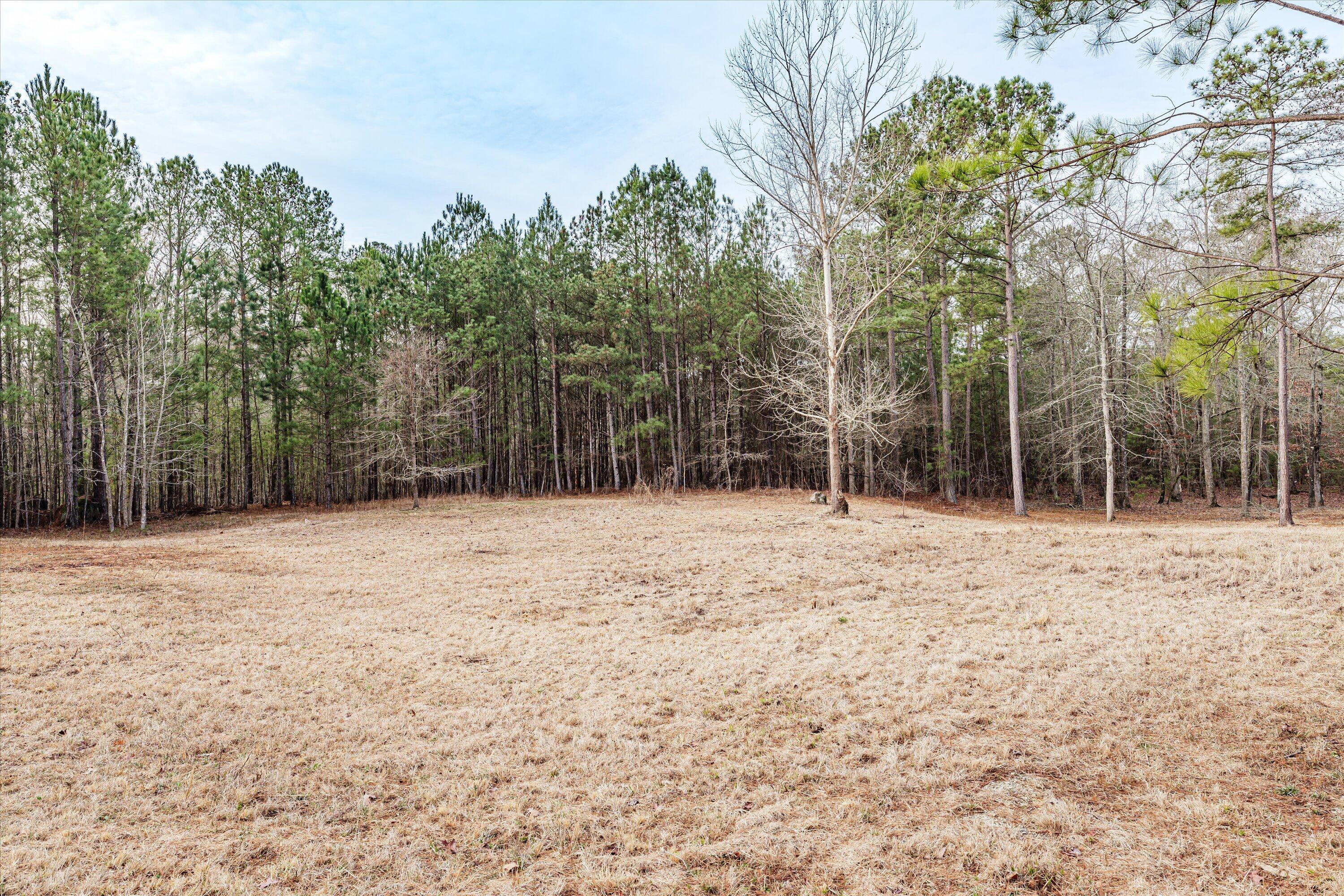 6 Savannah Bay Drive Lincolnton, GA 30817 - Photo 7 of 29 35-PS521066