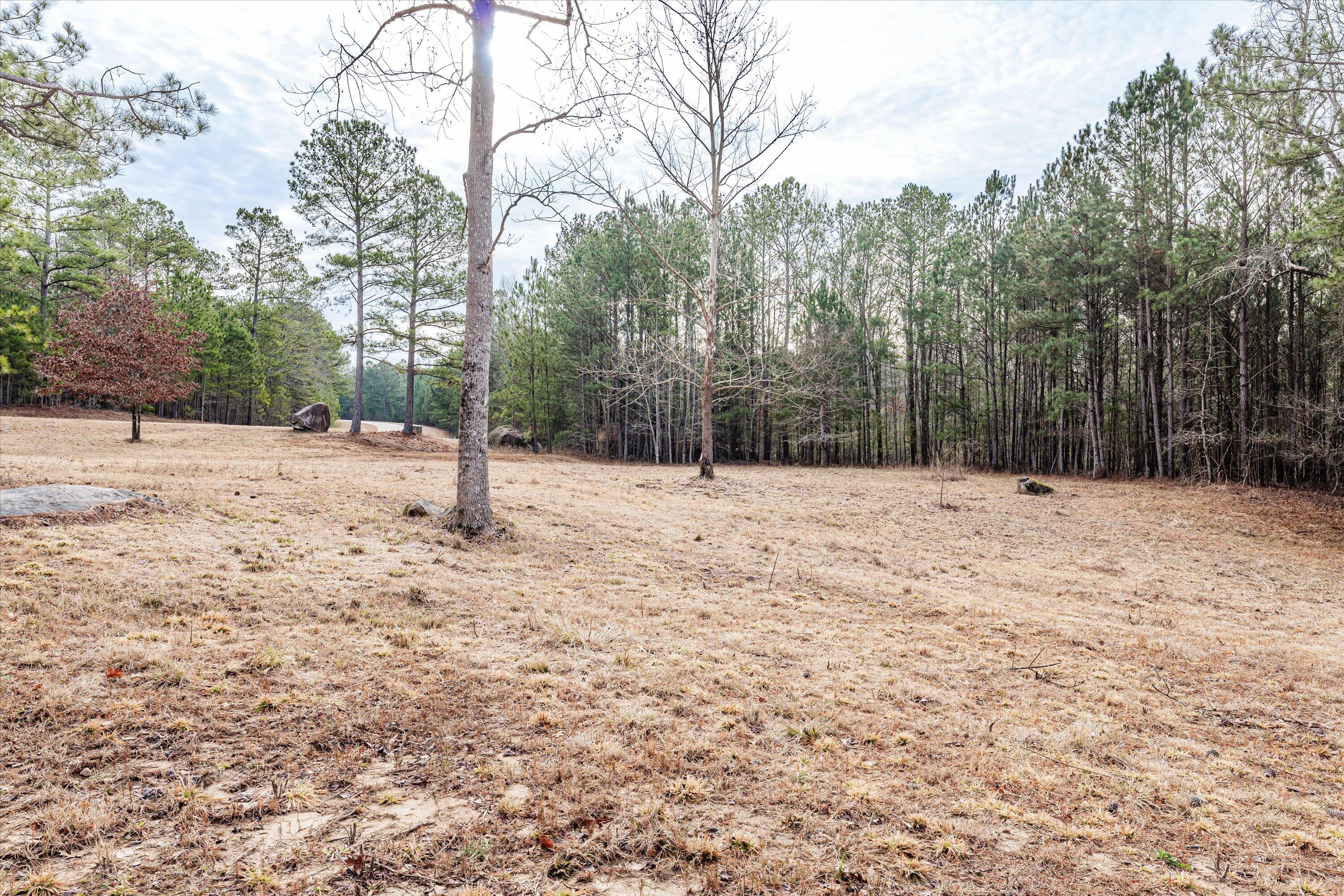 6 Savannah Bay Drive Lincolnton, GA 30817 - Photo 8 of 29 36-PS521067