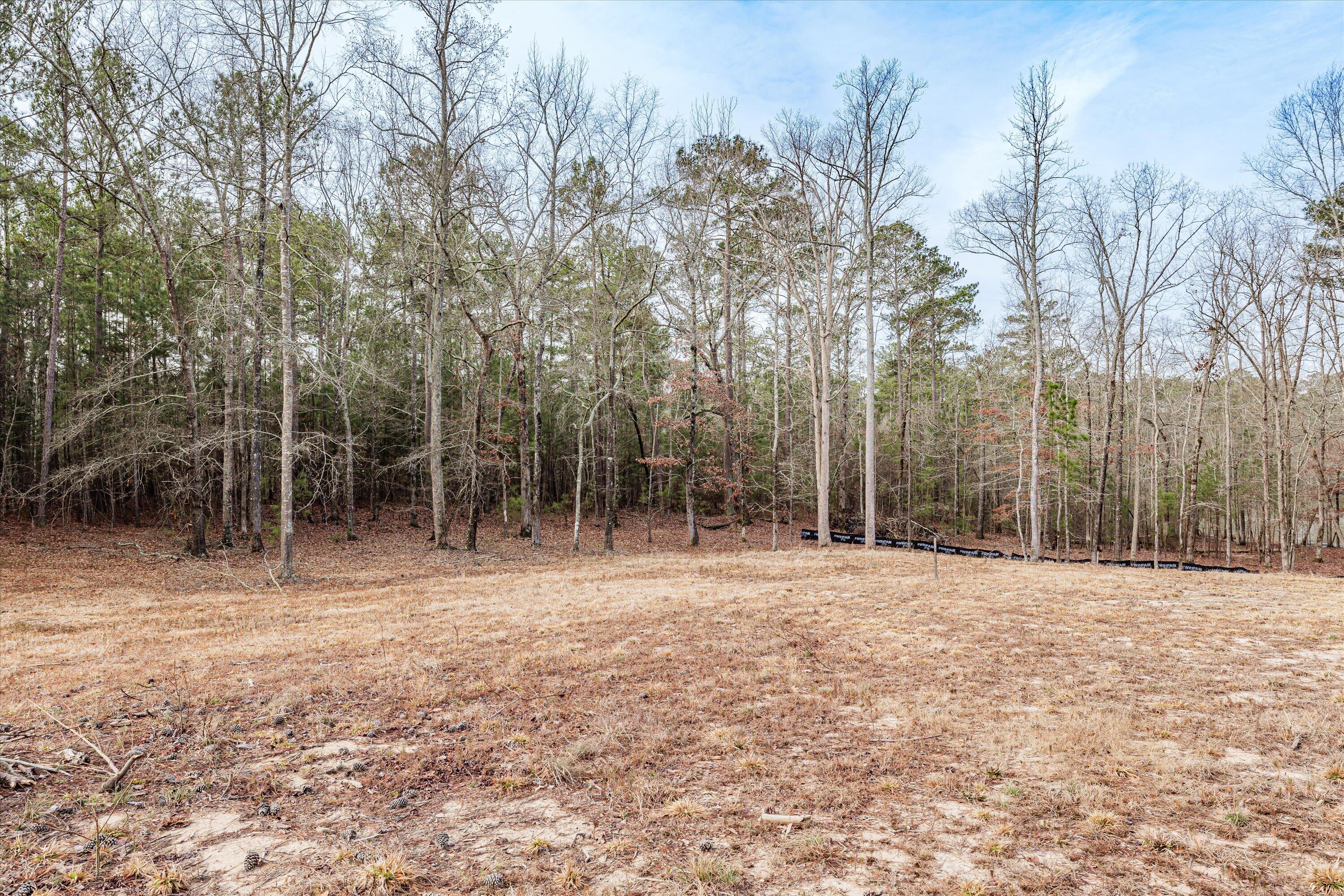 6 Savannah Bay Drive Lincolnton, GA 30817 - Photo 9 of 29 37-PS521068