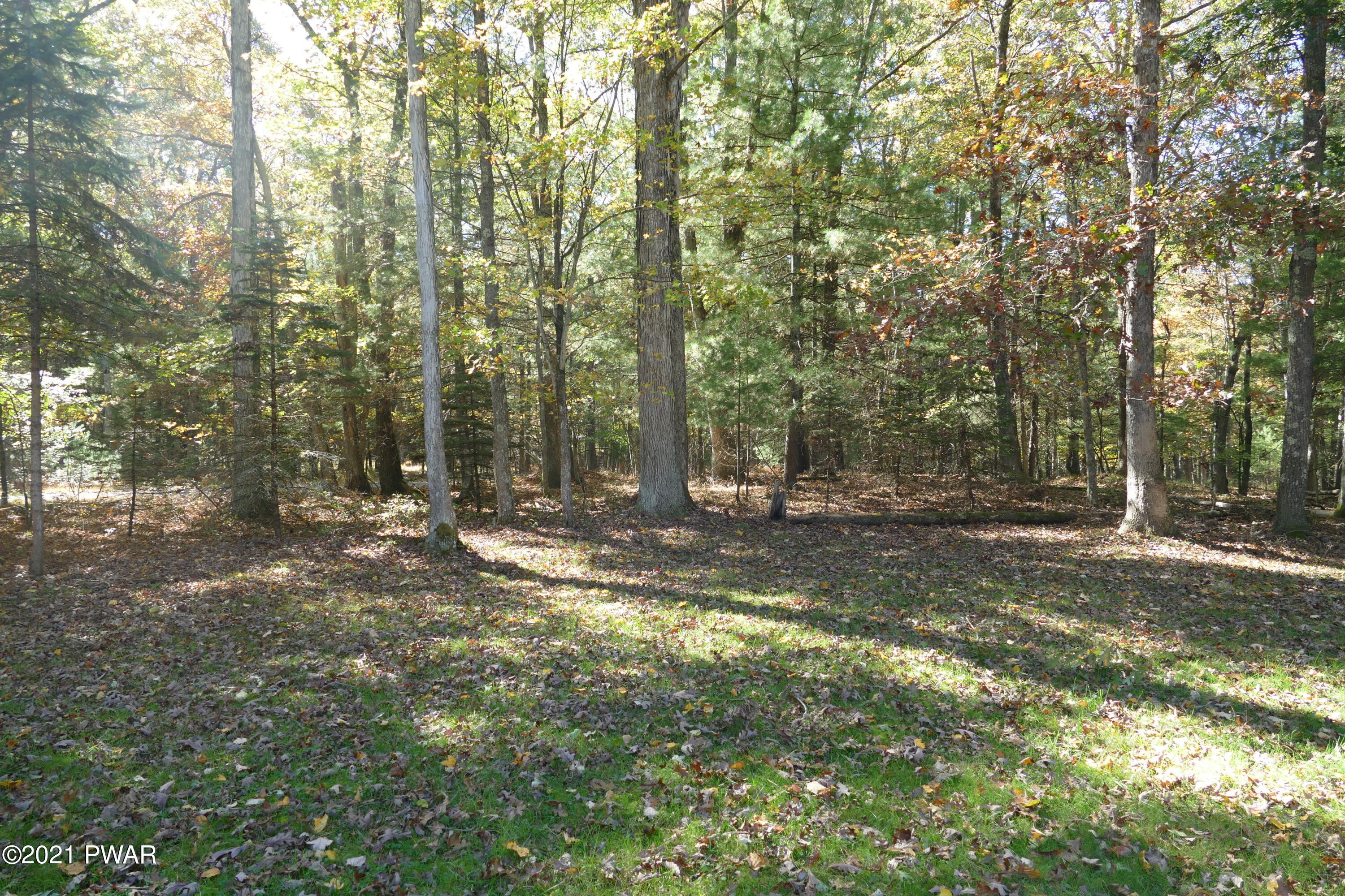 183 Blue Eddy Road Hawley, PA 18428 - Photo 38 of 42 Side Yard