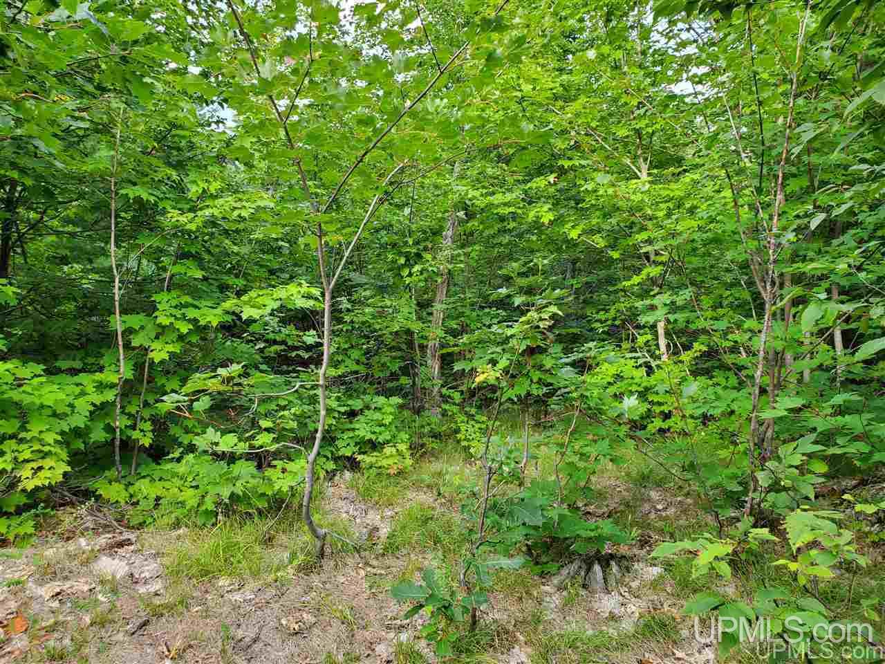 Tbd Tbd Holyoak Negaunee, MI 49866 - Photo 5 of 10