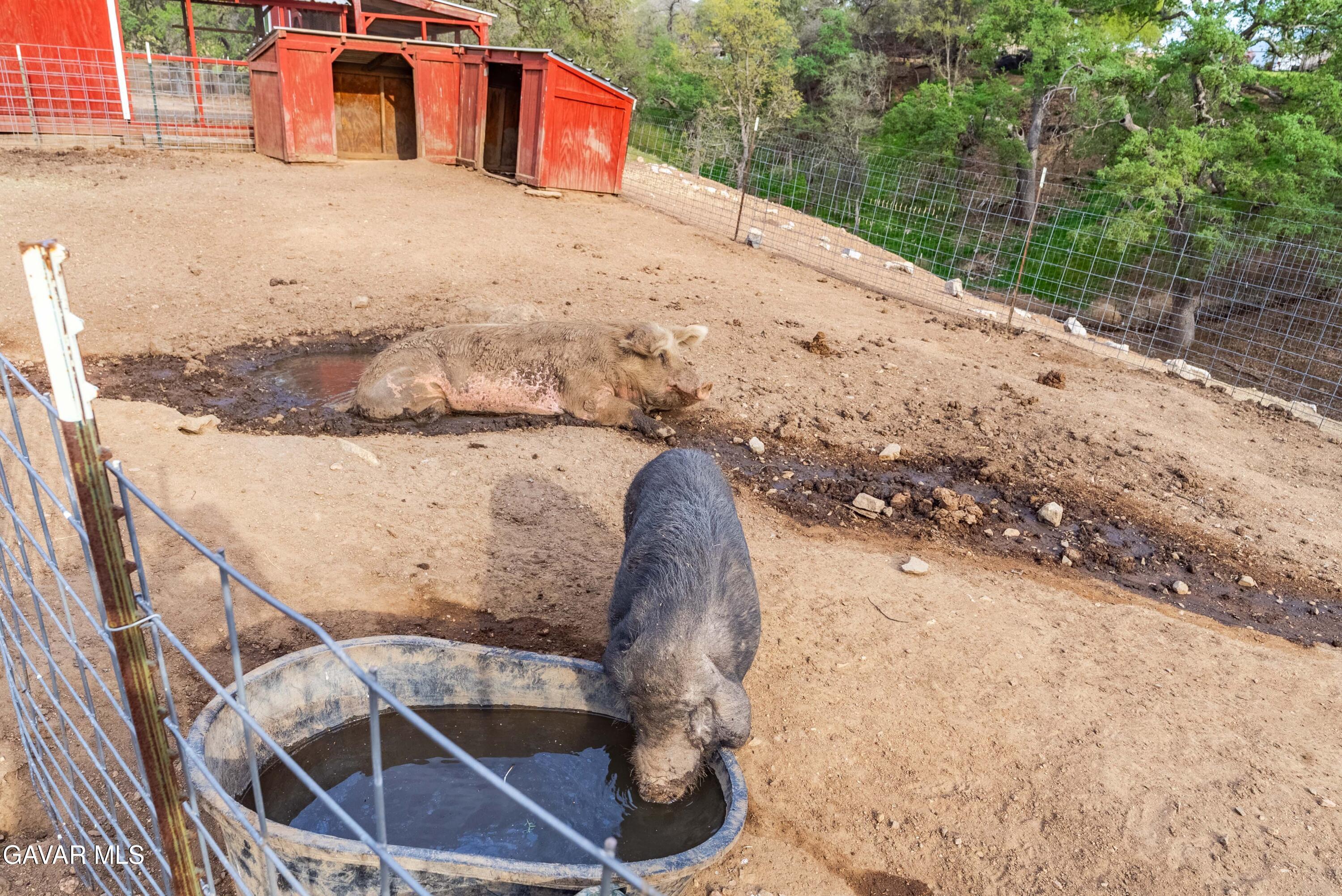 23800 Bertram Circle Tehachapi, CA 93561 - Photo 78 of 85 a backyard of a house with large trees and wooden fence