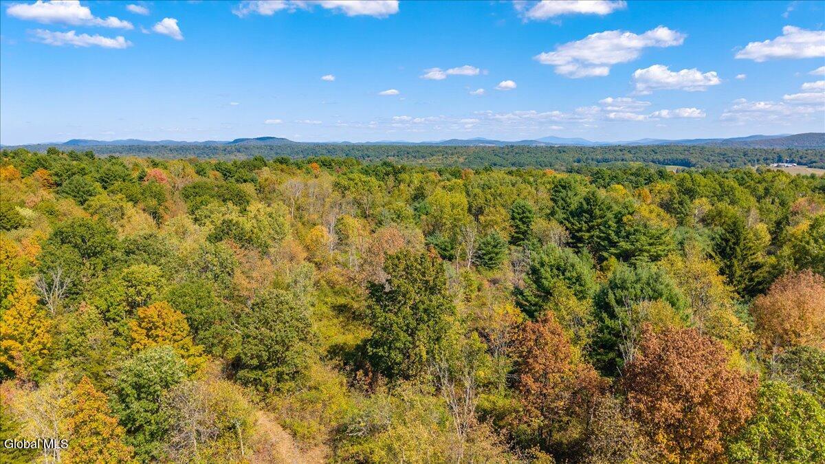 209 Haas Road Schuylerville, NY 12871 - Photo 17 of 24 19-209 haas rd schyulerville-19