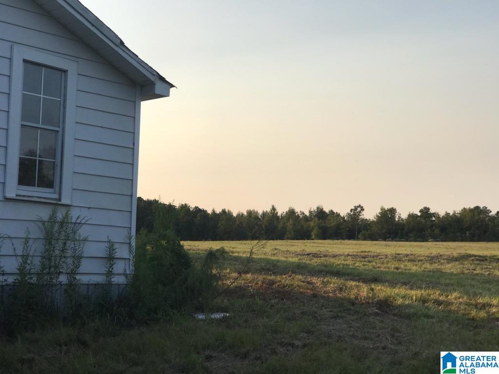 2245 County Road 37 Clanton, AL 35045 - Photo 1 of 1