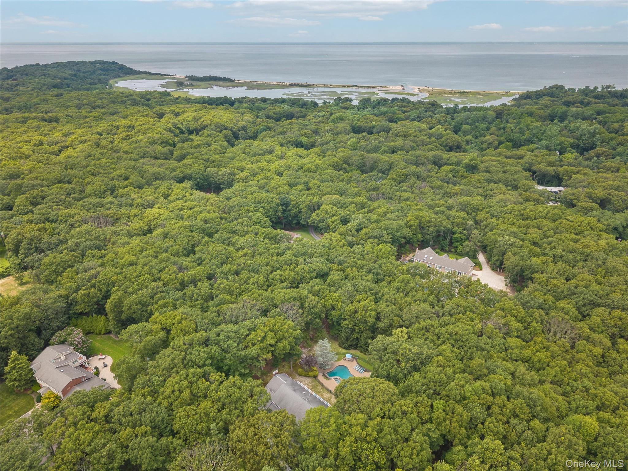 12 North Ridge Road Setauket, NY 11733 - Photo 48 of 49