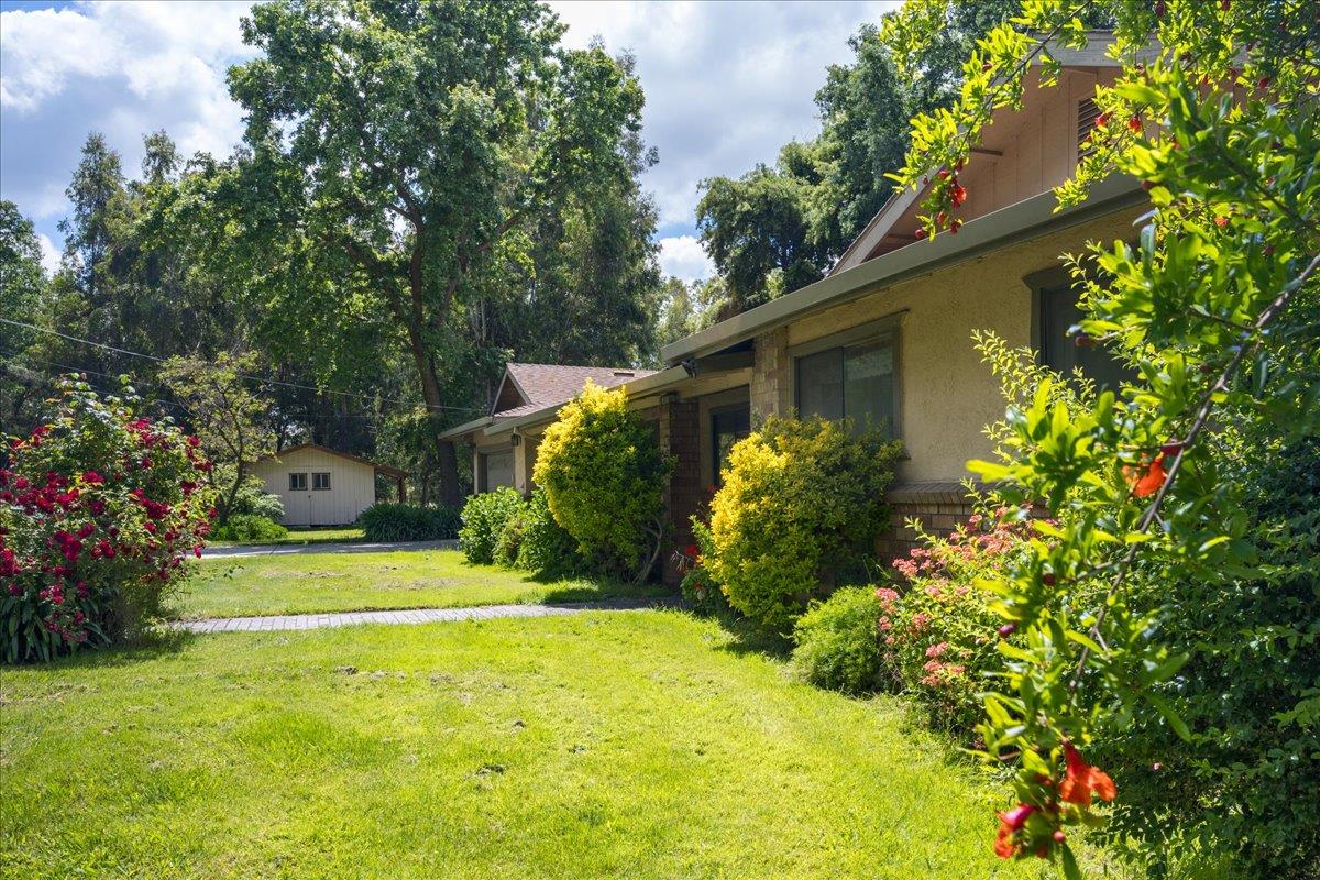 12188 Clay Station Road Herald, CA 95638 - Photo 11 of 89 Front yard / shed visible to the south