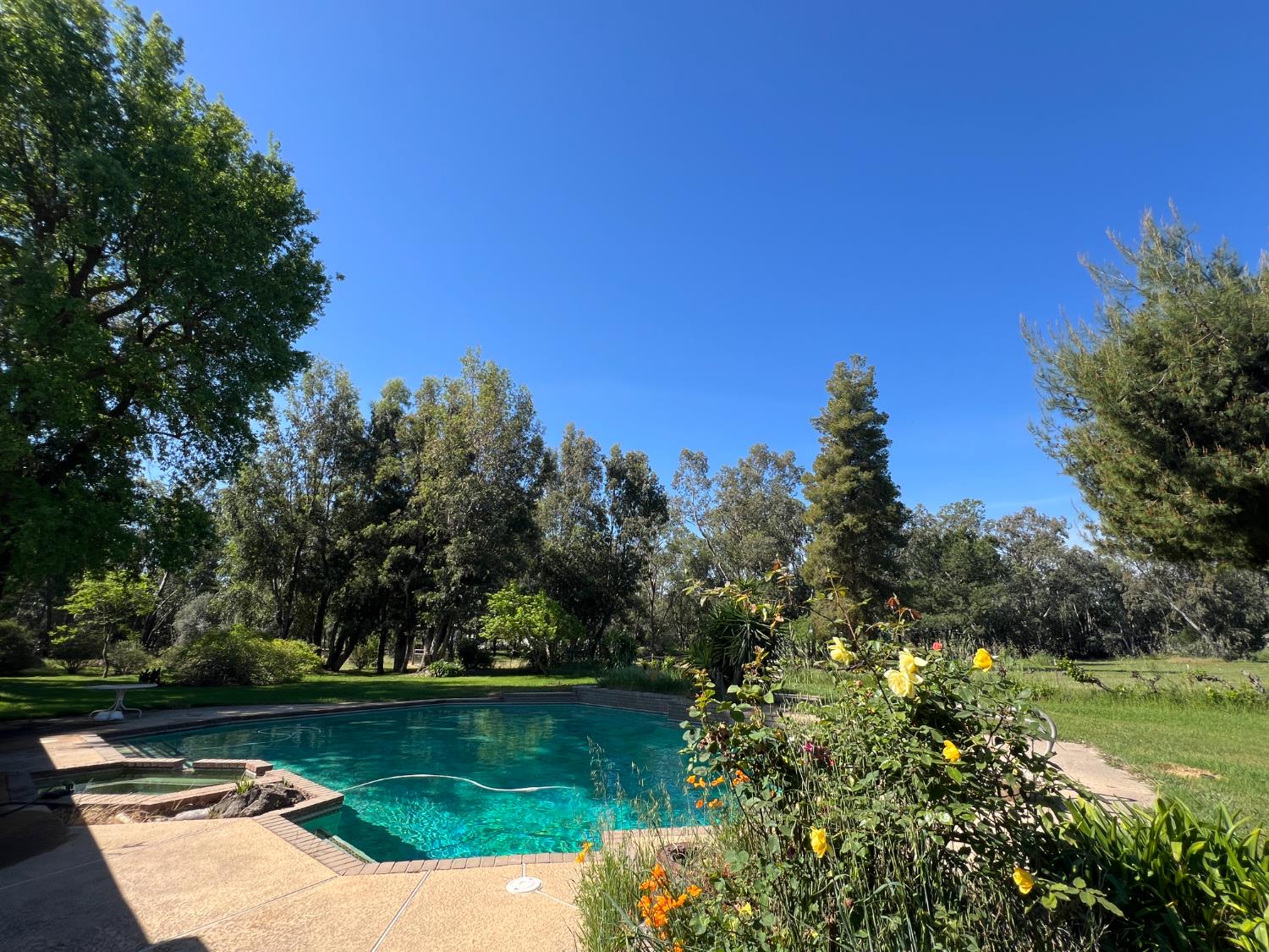 12188 Clay Station Road Herald, CA 95638 - Photo 20 of 89