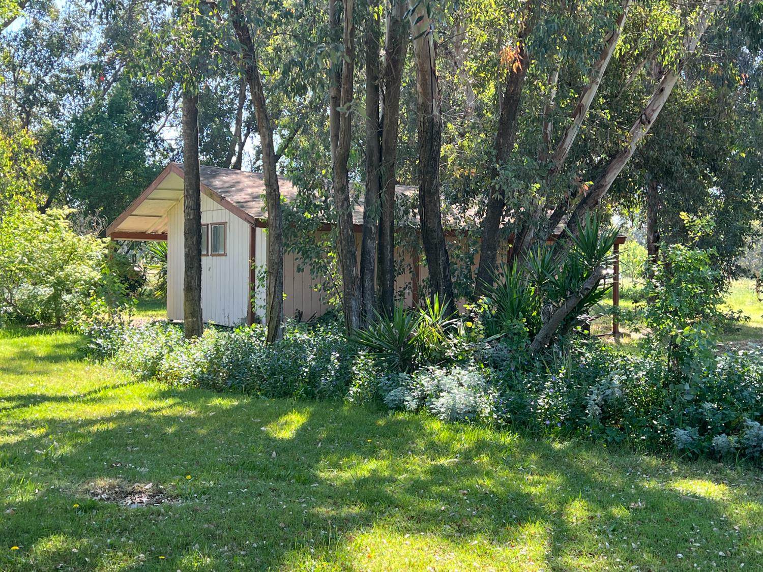 12188 Clay Station Road Herald, CA 95638 - Photo 27 of 89 Storage shed