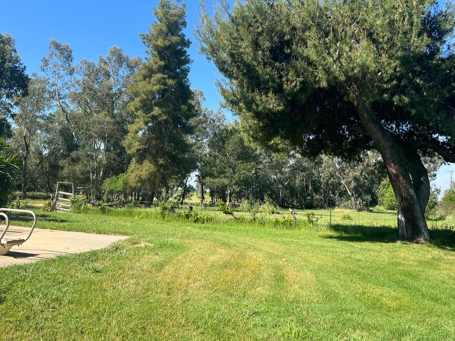 12188 Clay Station Road Herald, CA 95638 - Photo 30 of 89 Looking west beyond grape vines and cross fence