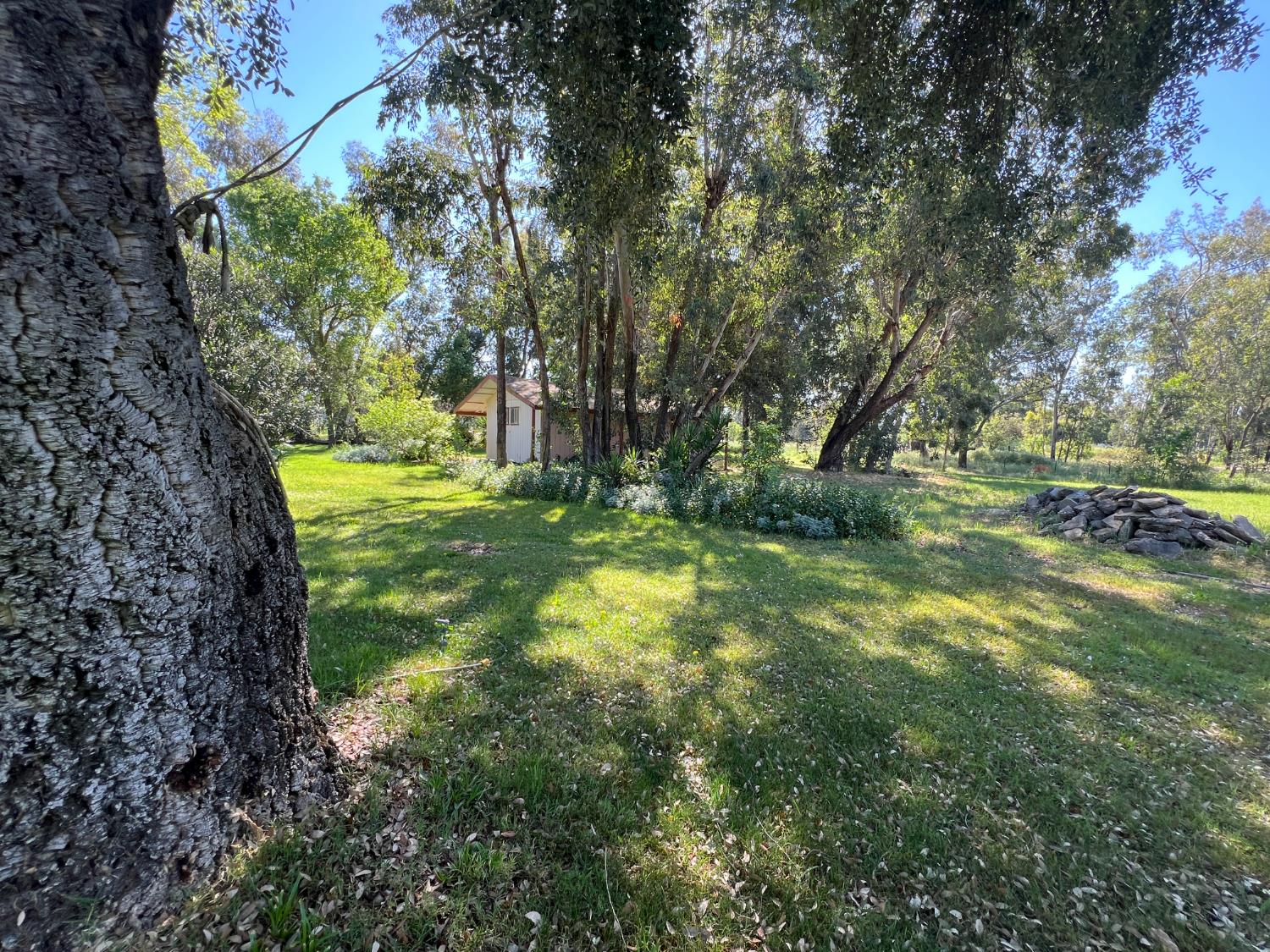 12188 Clay Station Road Herald, CA 95638 - Photo 32 of 89 Looking south