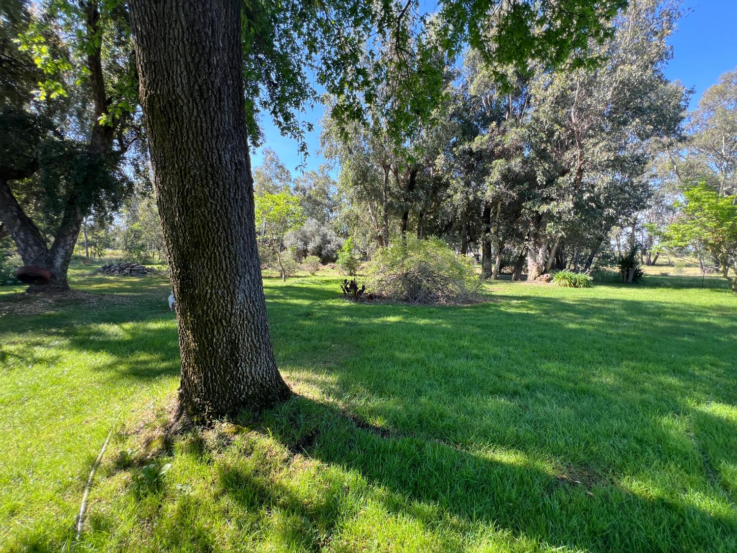 12188 Clay Station Road Herald, CA 95638 - Photo 33 of 89
